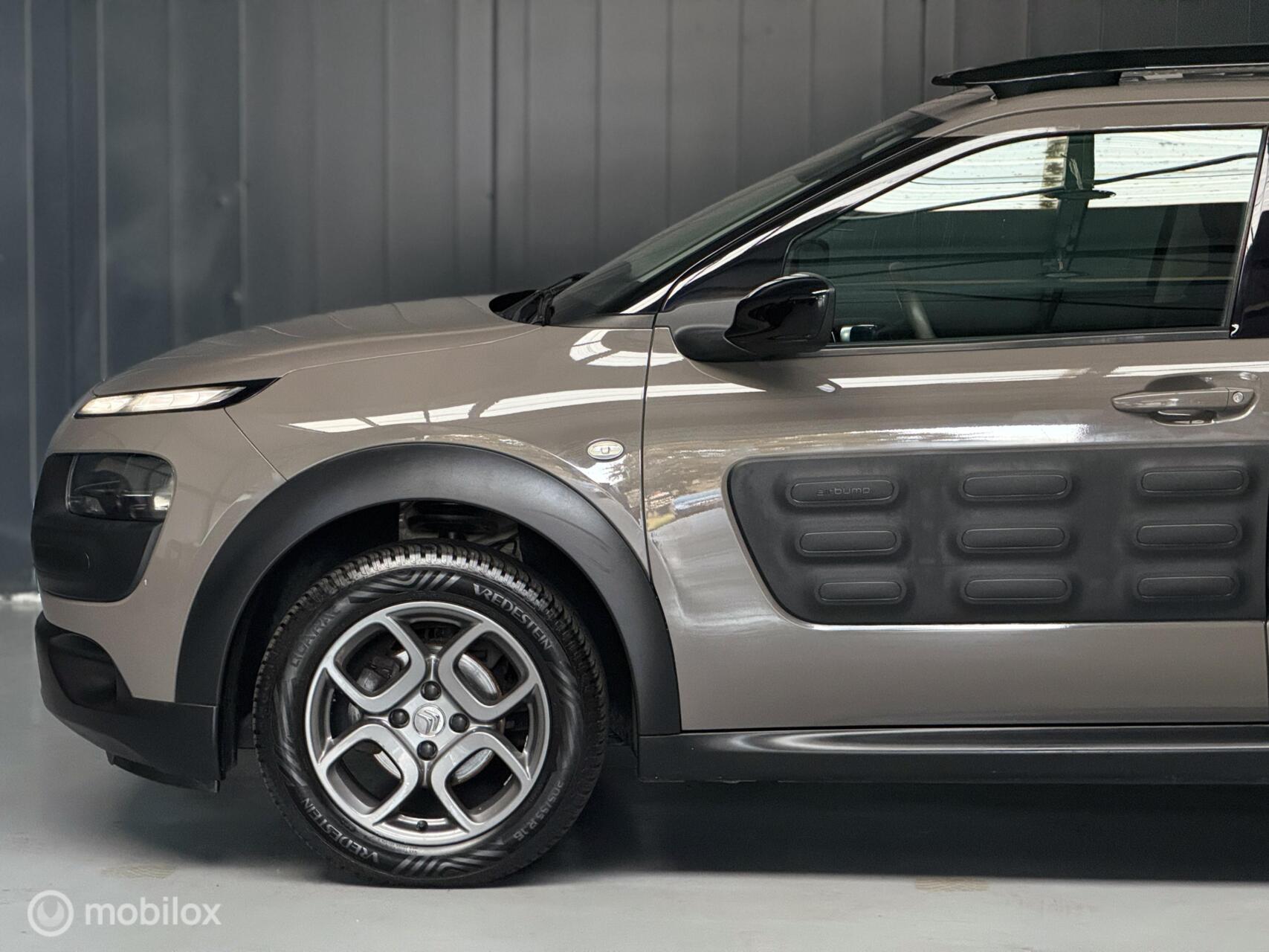 Foto van Citroen C4 Cactus