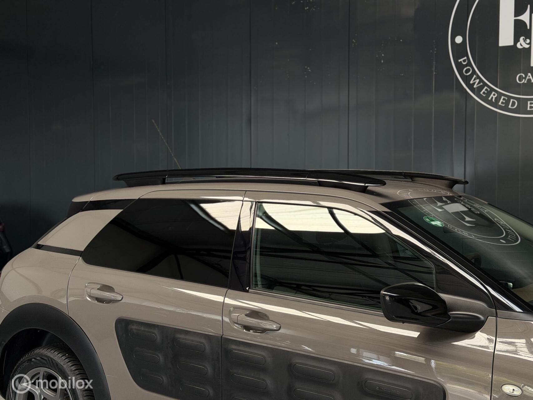 Foto van Citroen C4 Cactus