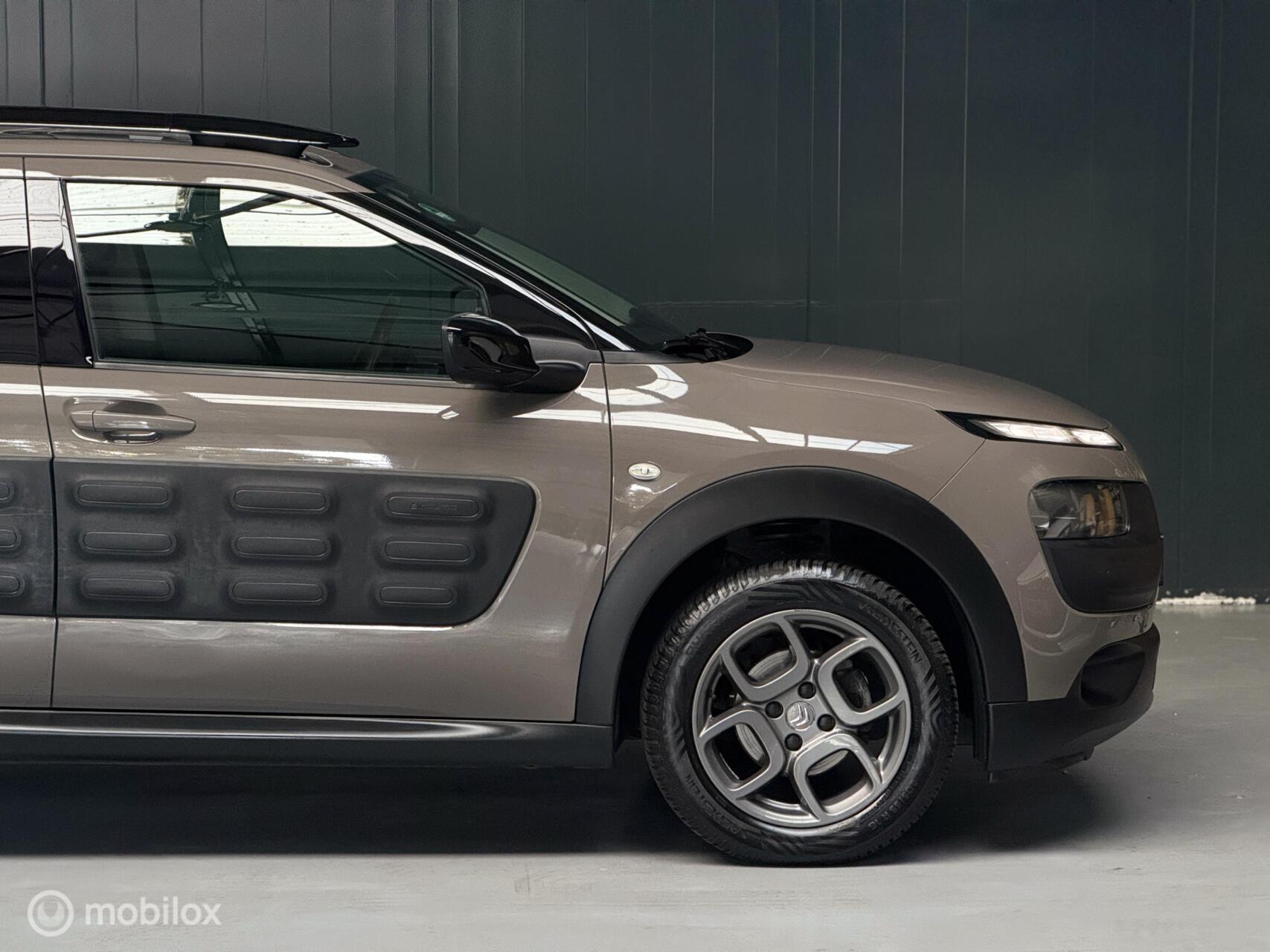 Foto van Citroen C4 Cactus