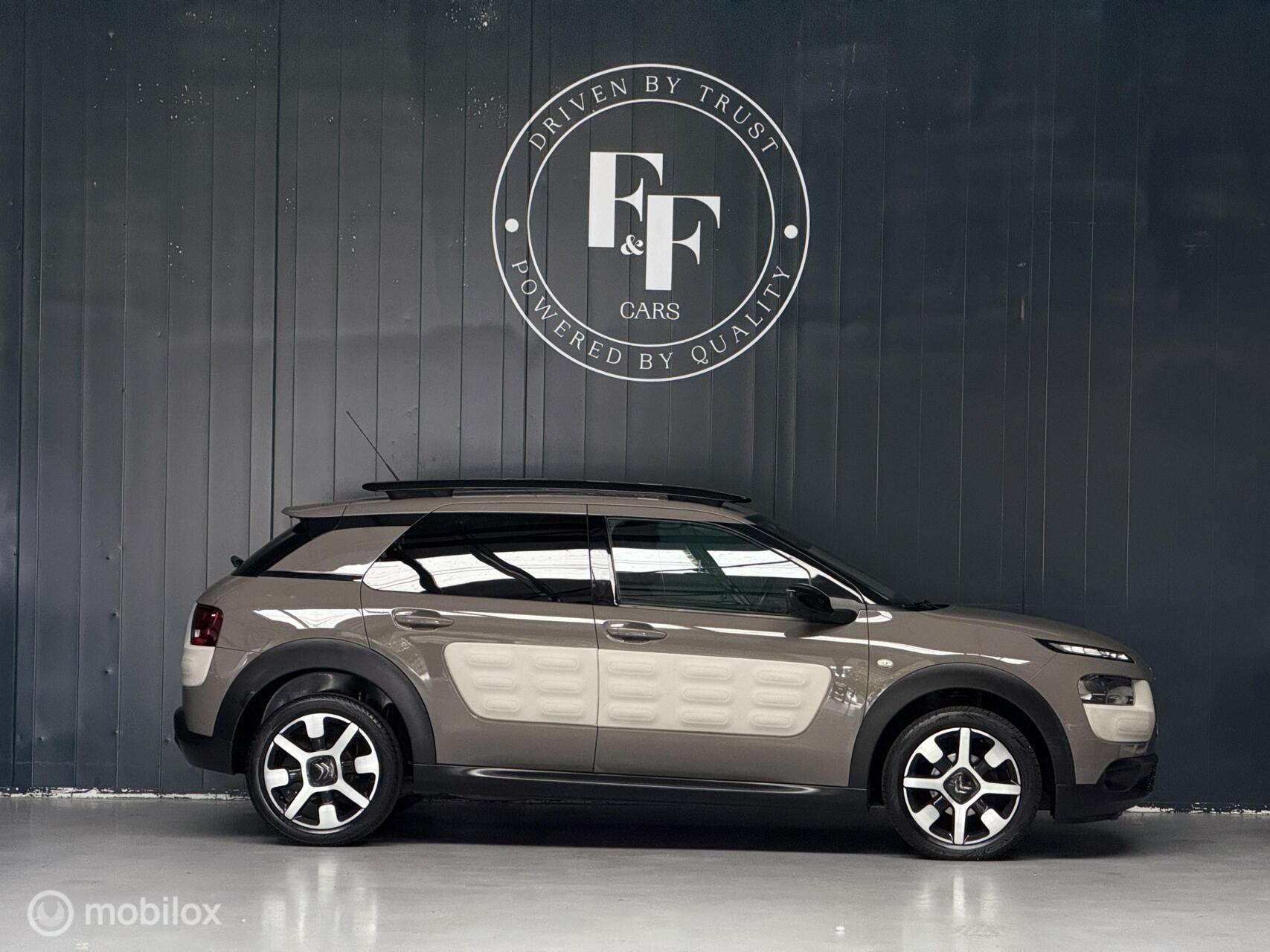 Foto van Citroen C4 Cactus