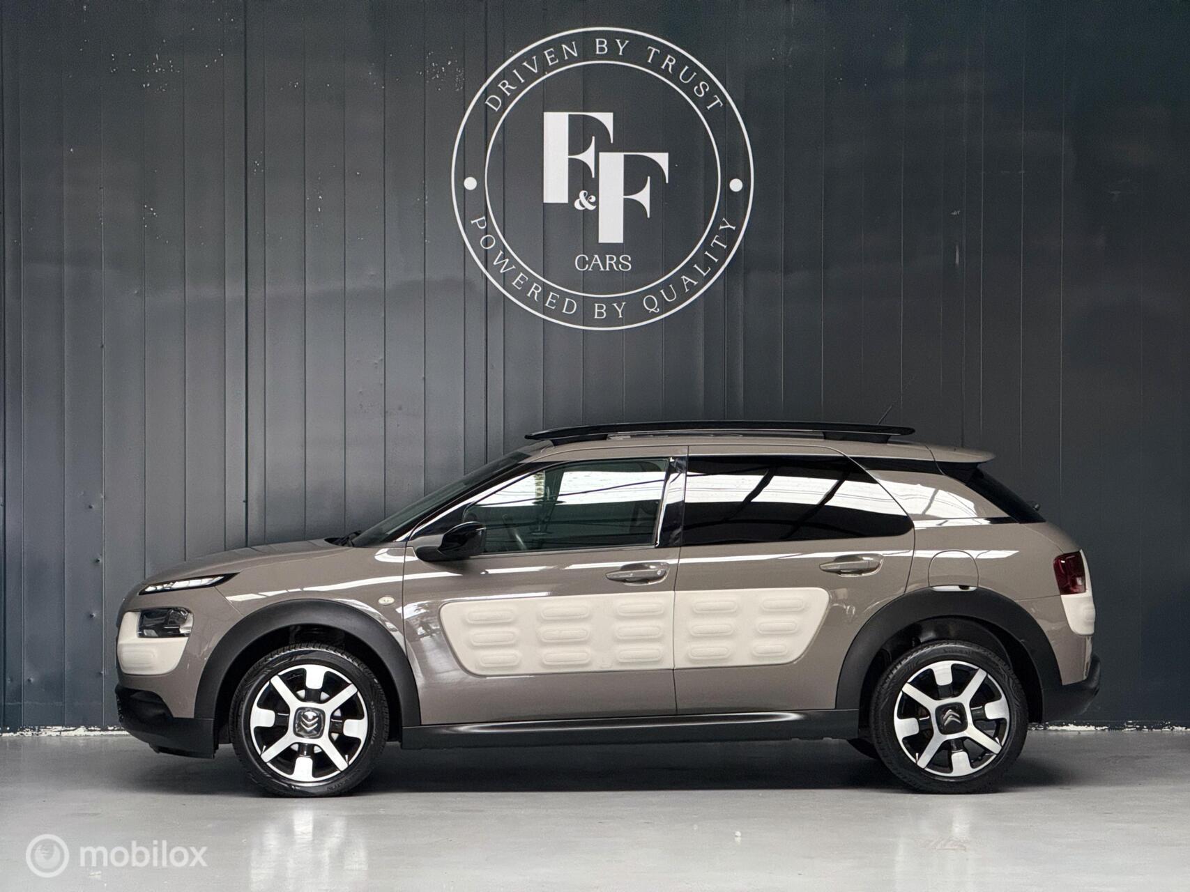 Foto van Citroen C4 Cactus