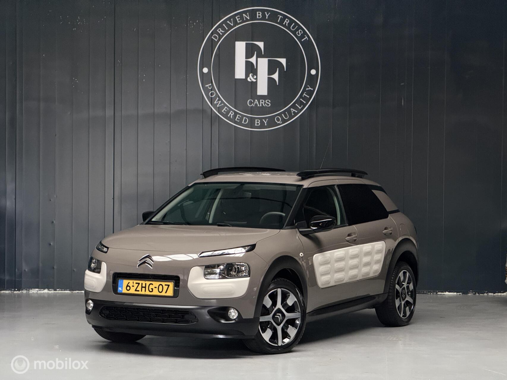 Foto van Citroen C4 Cactus