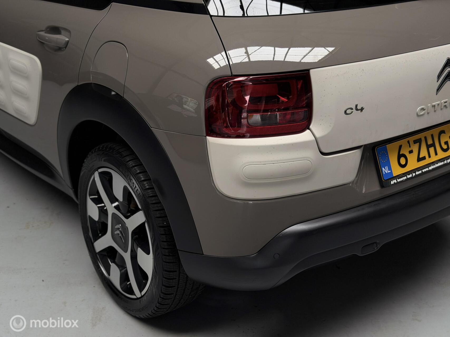 Foto van Citroen C4 Cactus