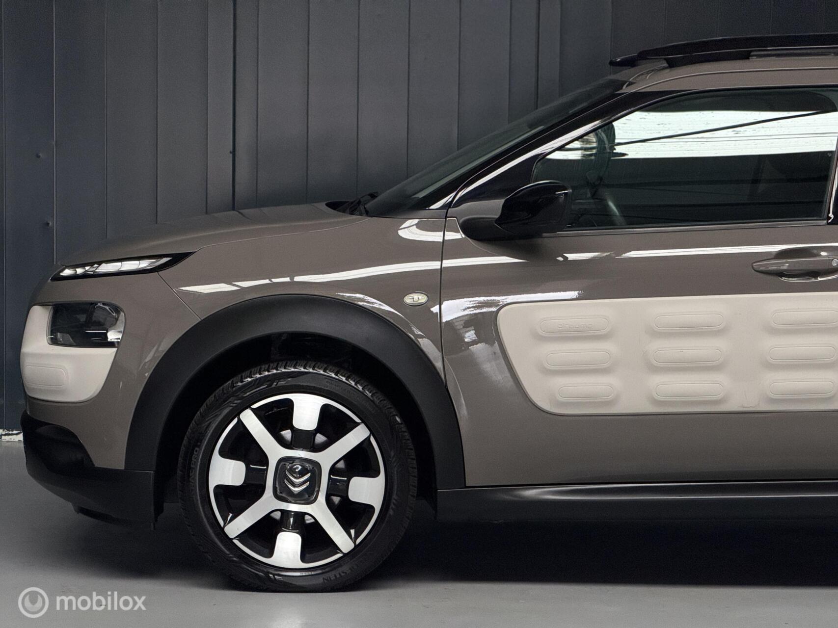 Foto van Citroen C4 Cactus