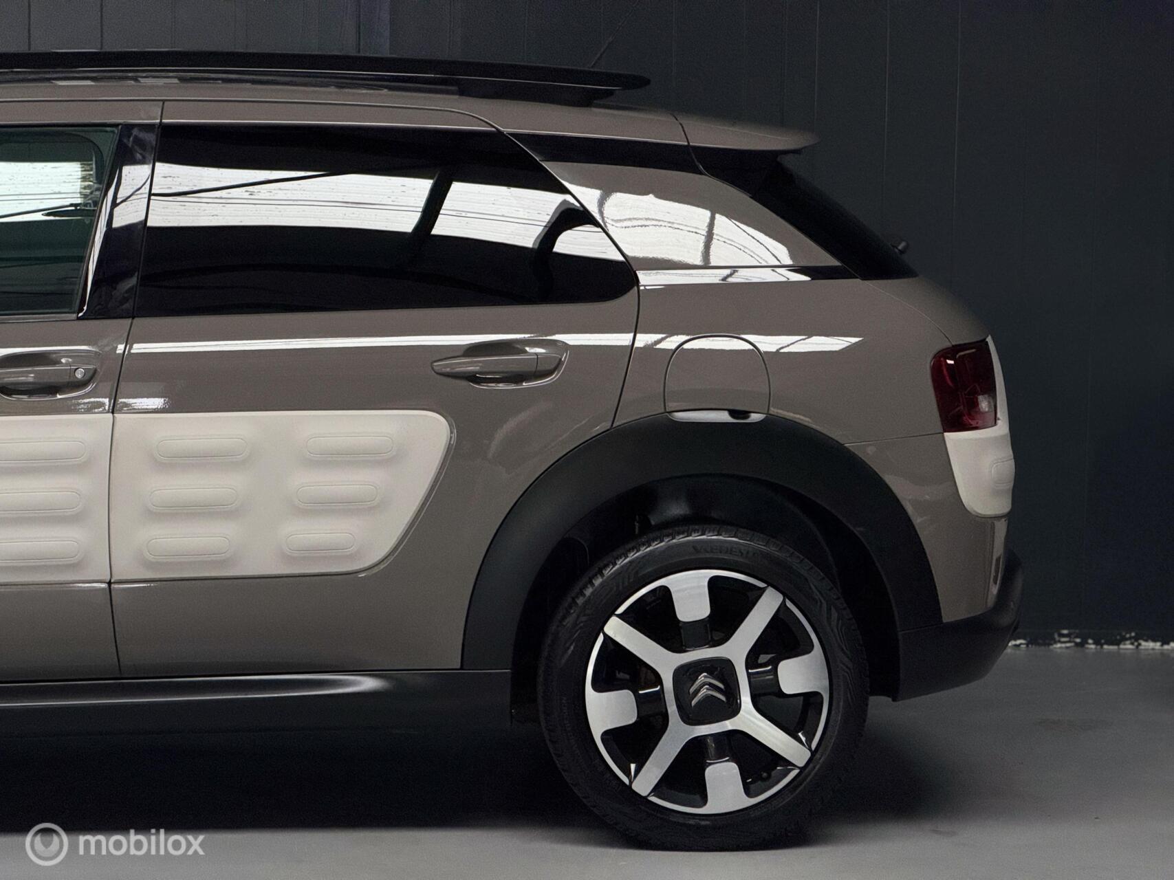 Foto van Citroen C4 Cactus