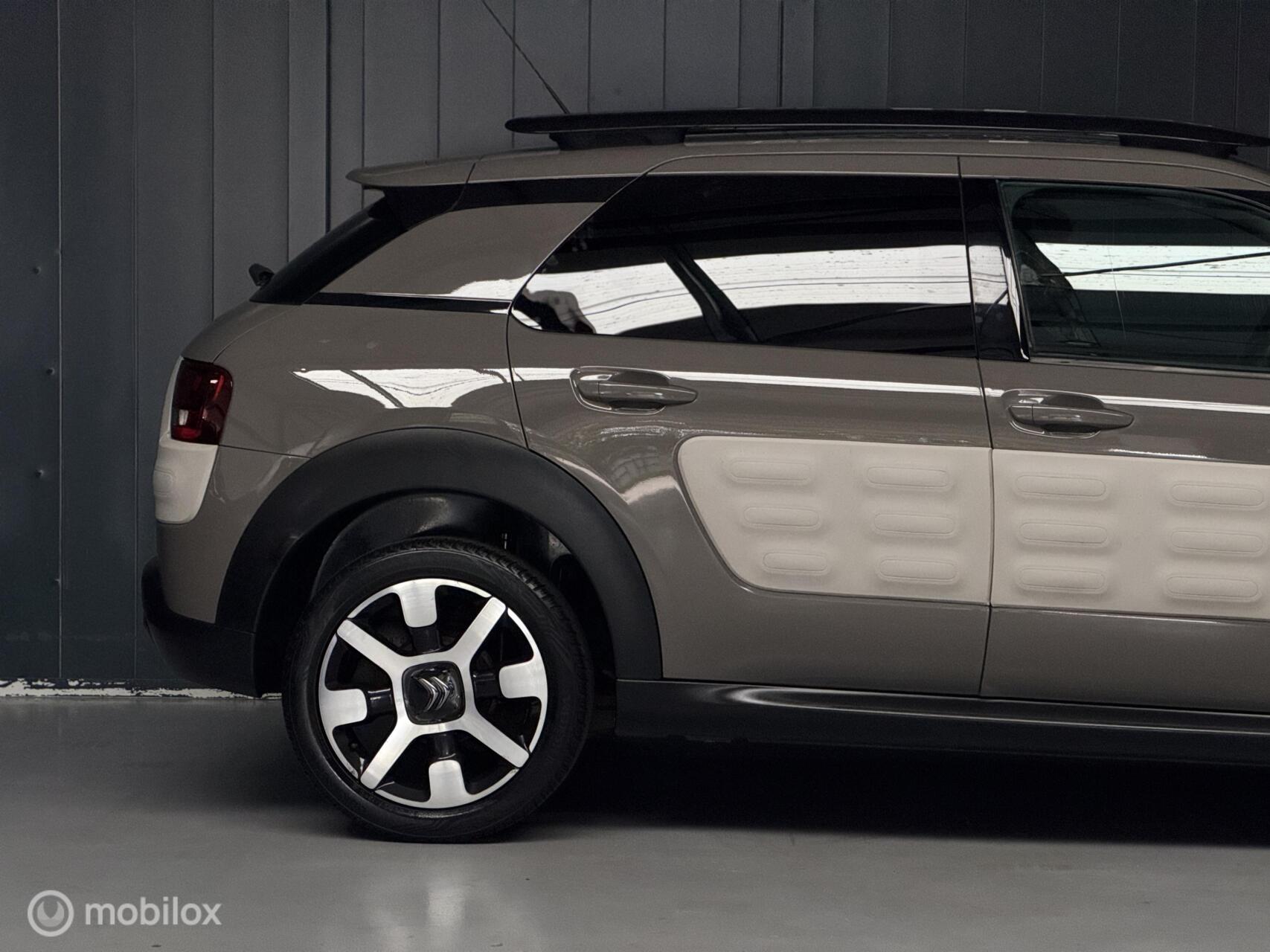 Foto van Citroen C4 Cactus