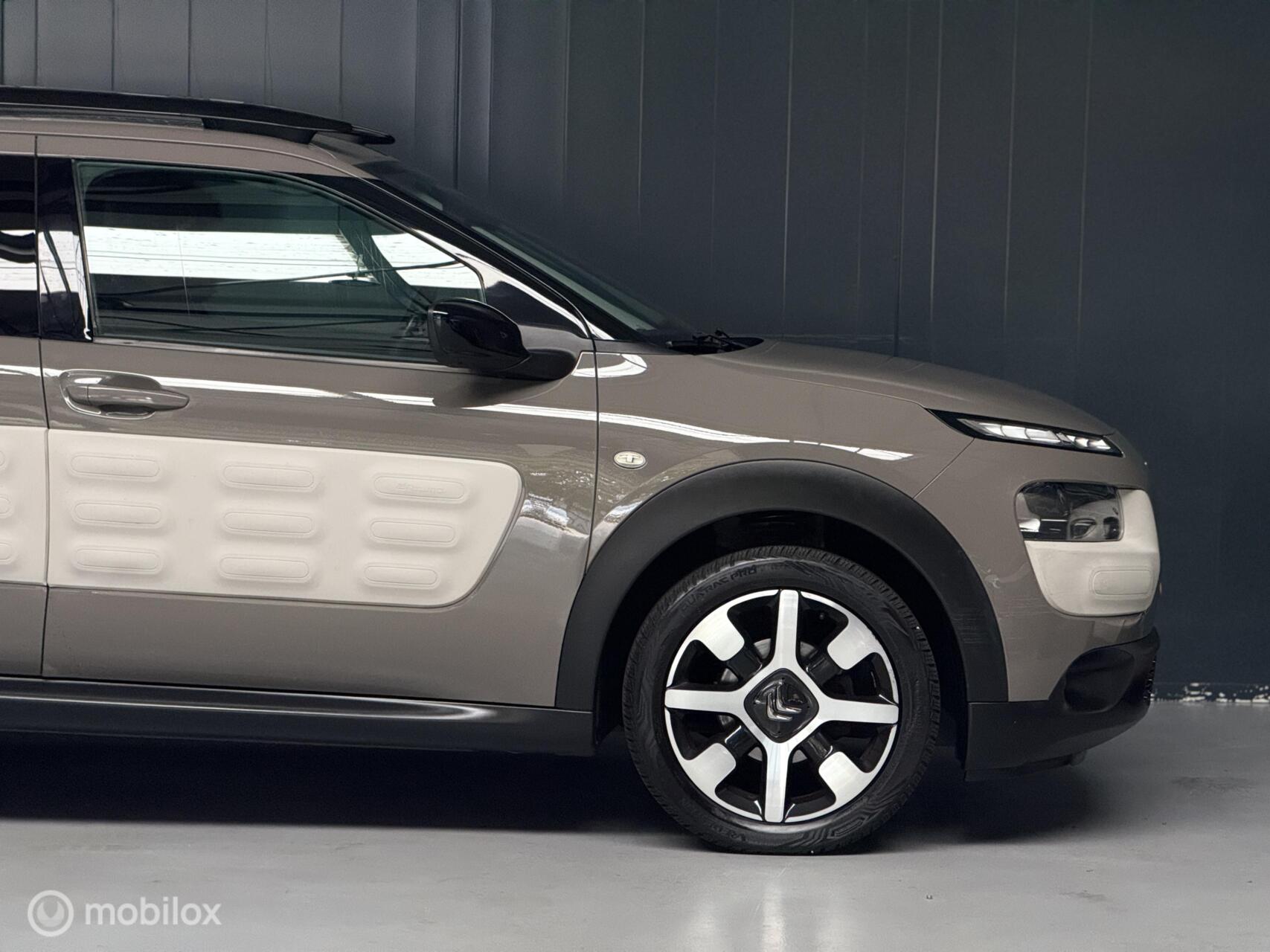 Foto van Citroen C4 Cactus