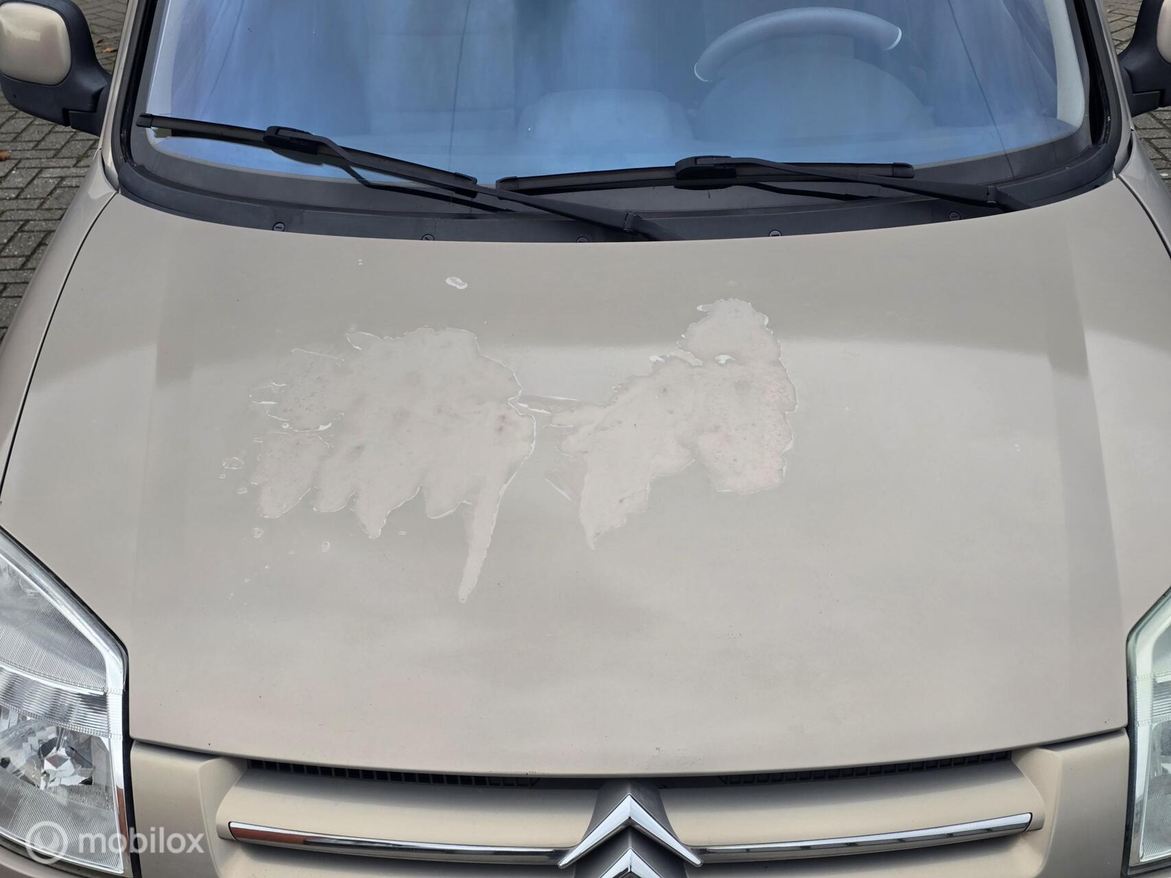 Foto van Citroen Berlingo