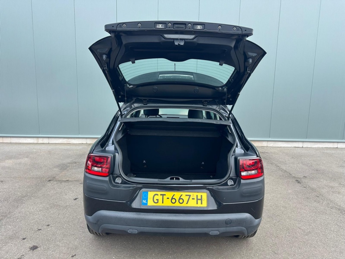 Foto van Citroen C4 Cactus