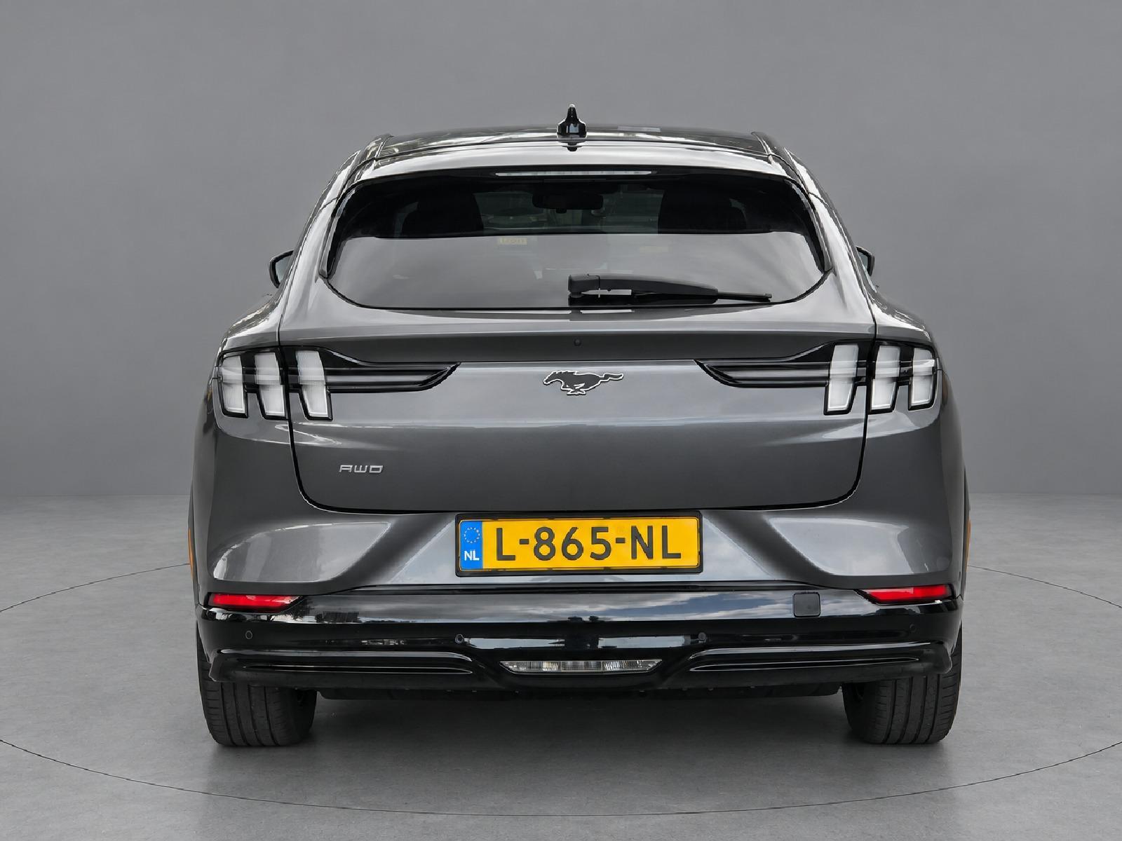 Foto van Ford Mustang Mach-e