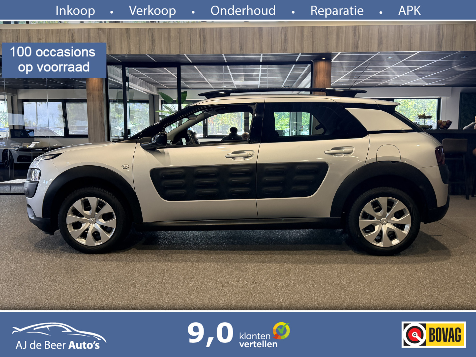 Foto van Citroen C4 Cactus