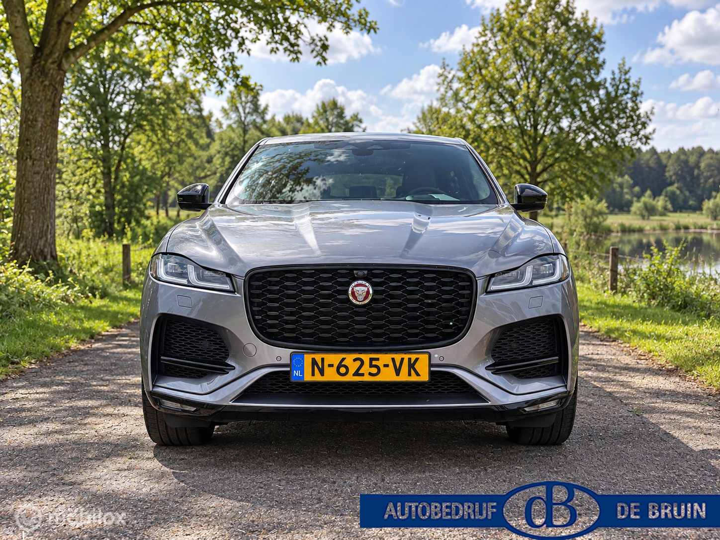 Foto van Jaguar Jaguar F-pace