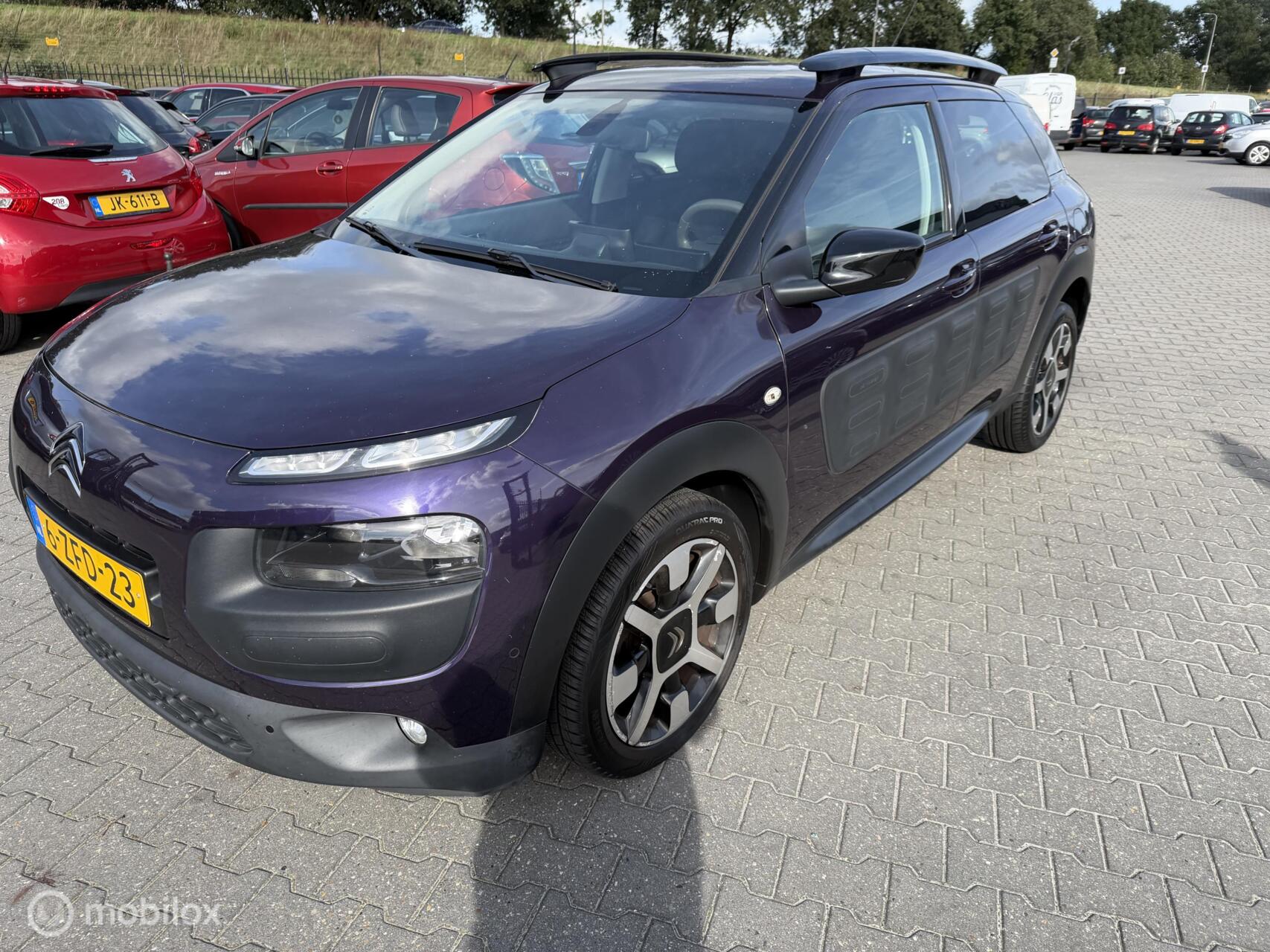 Foto van Citroen C4 Cactus