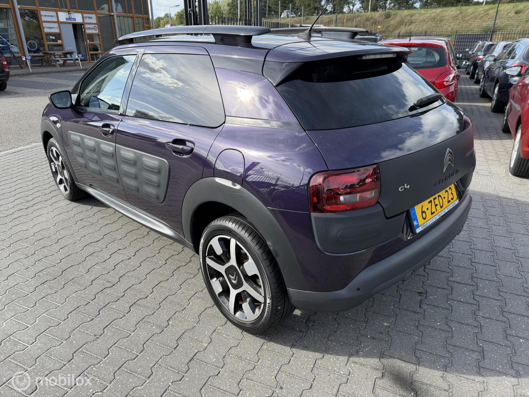 Foto van Citroen C4 Cactus