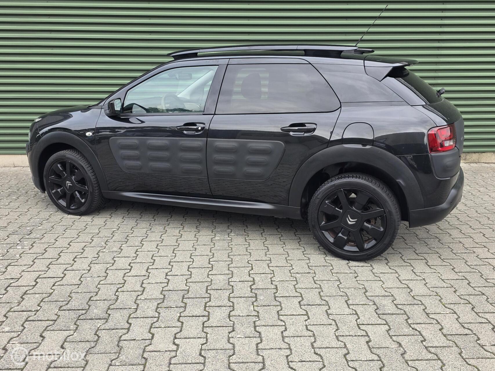 Foto van Citroen C4 Cactus