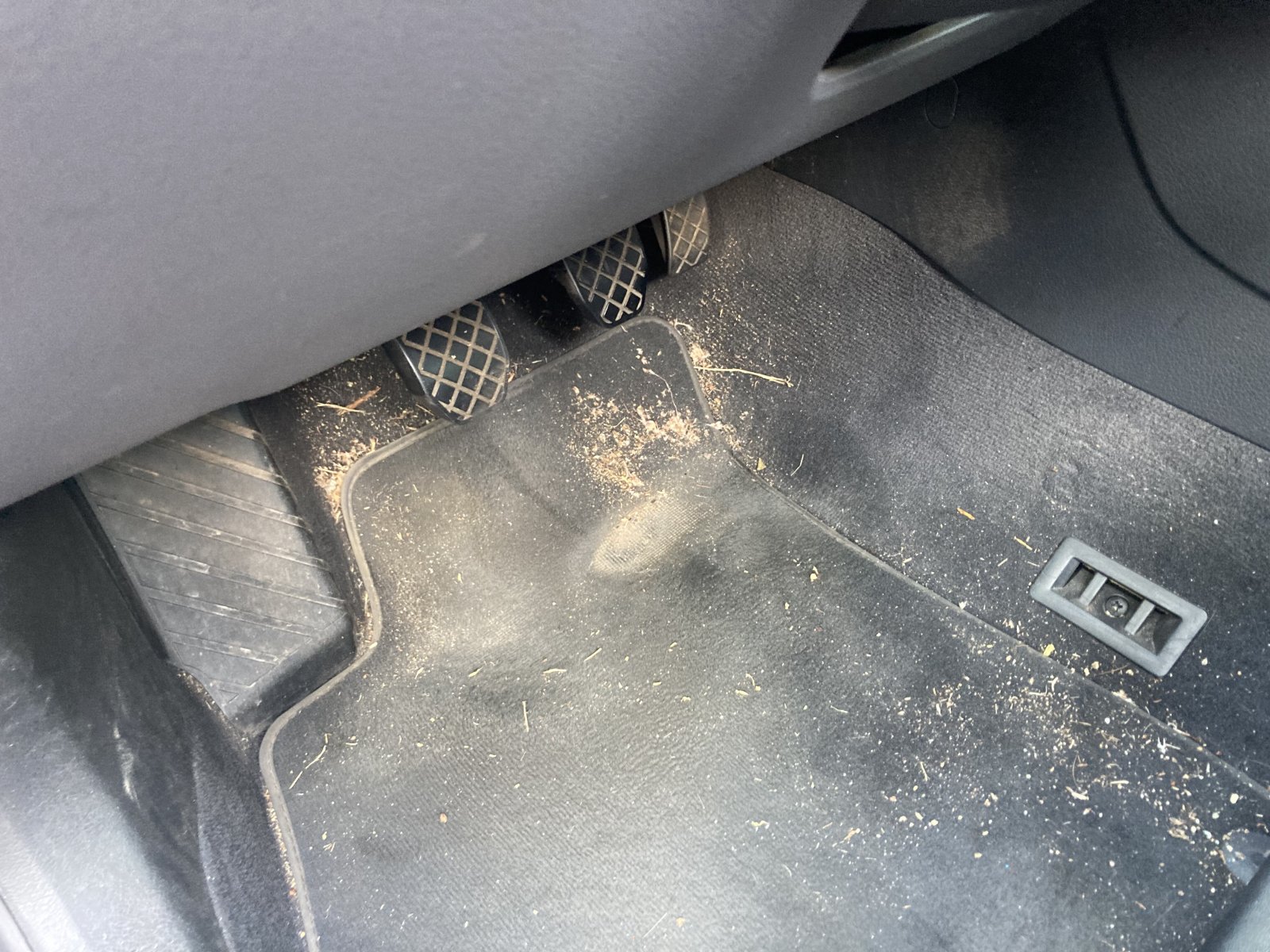 Inspectiefoto van Seat Exeo