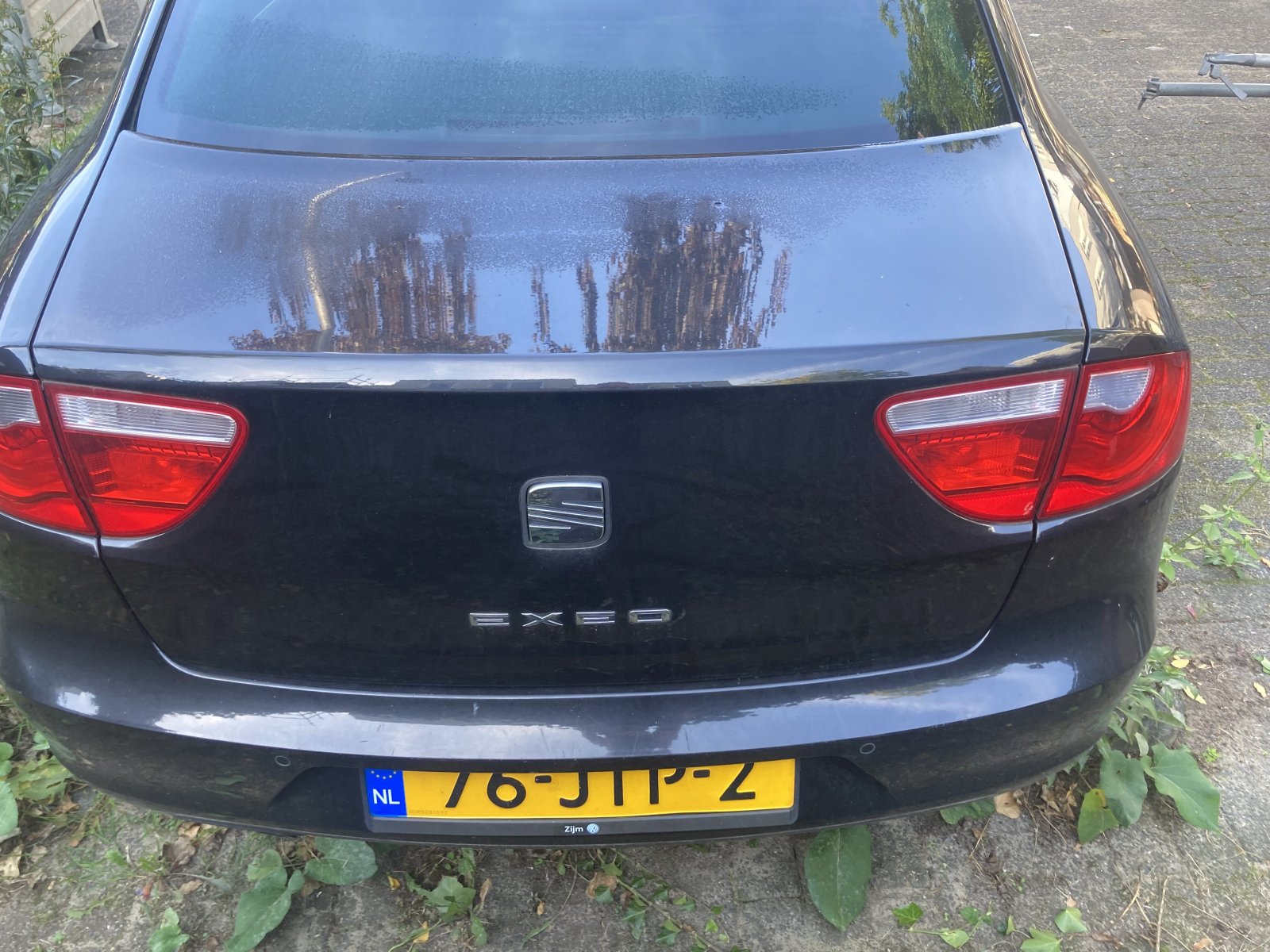 Inspectiefoto van Seat Exeo
