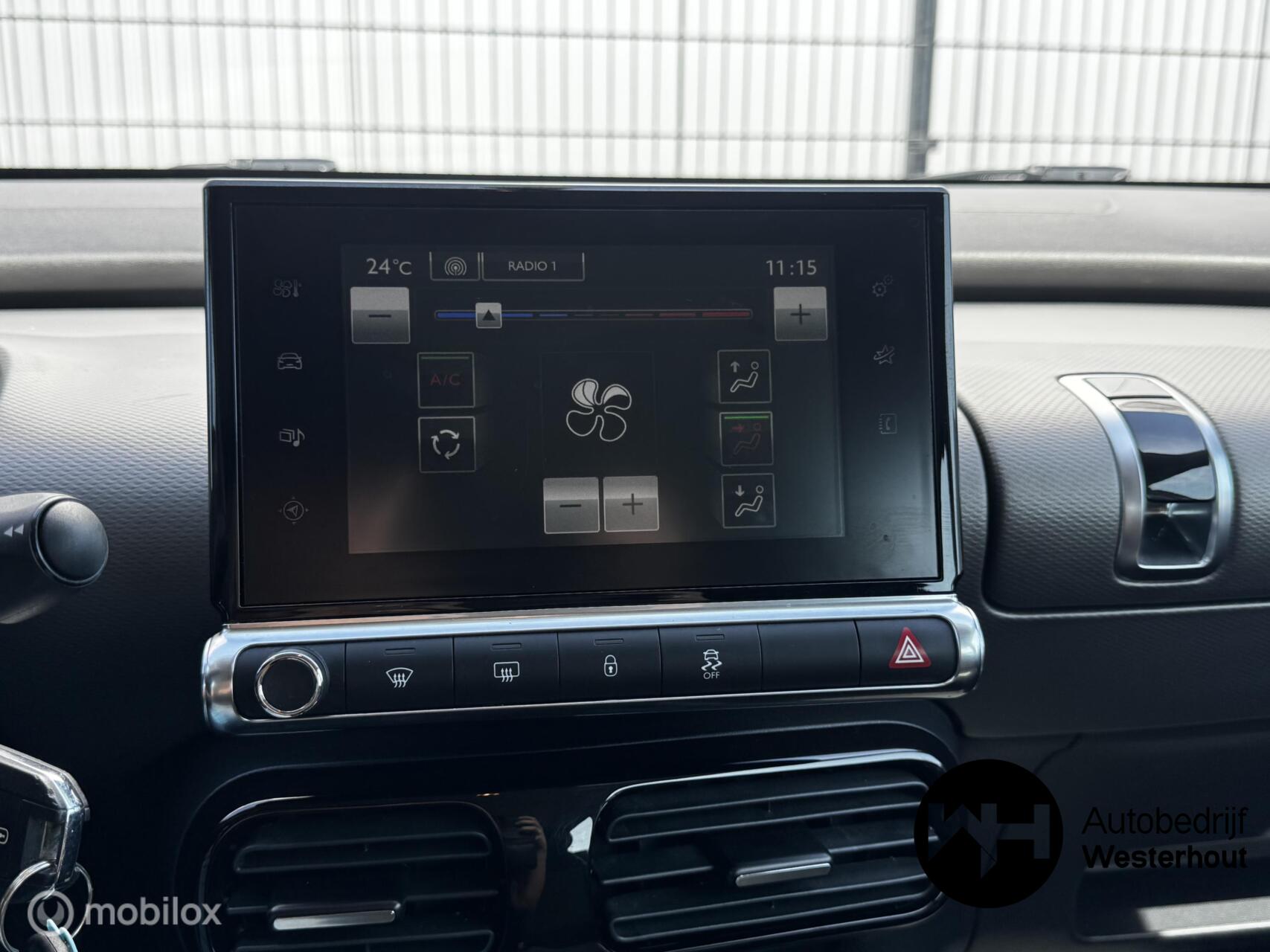 Foto van Citroen C4 Cactus