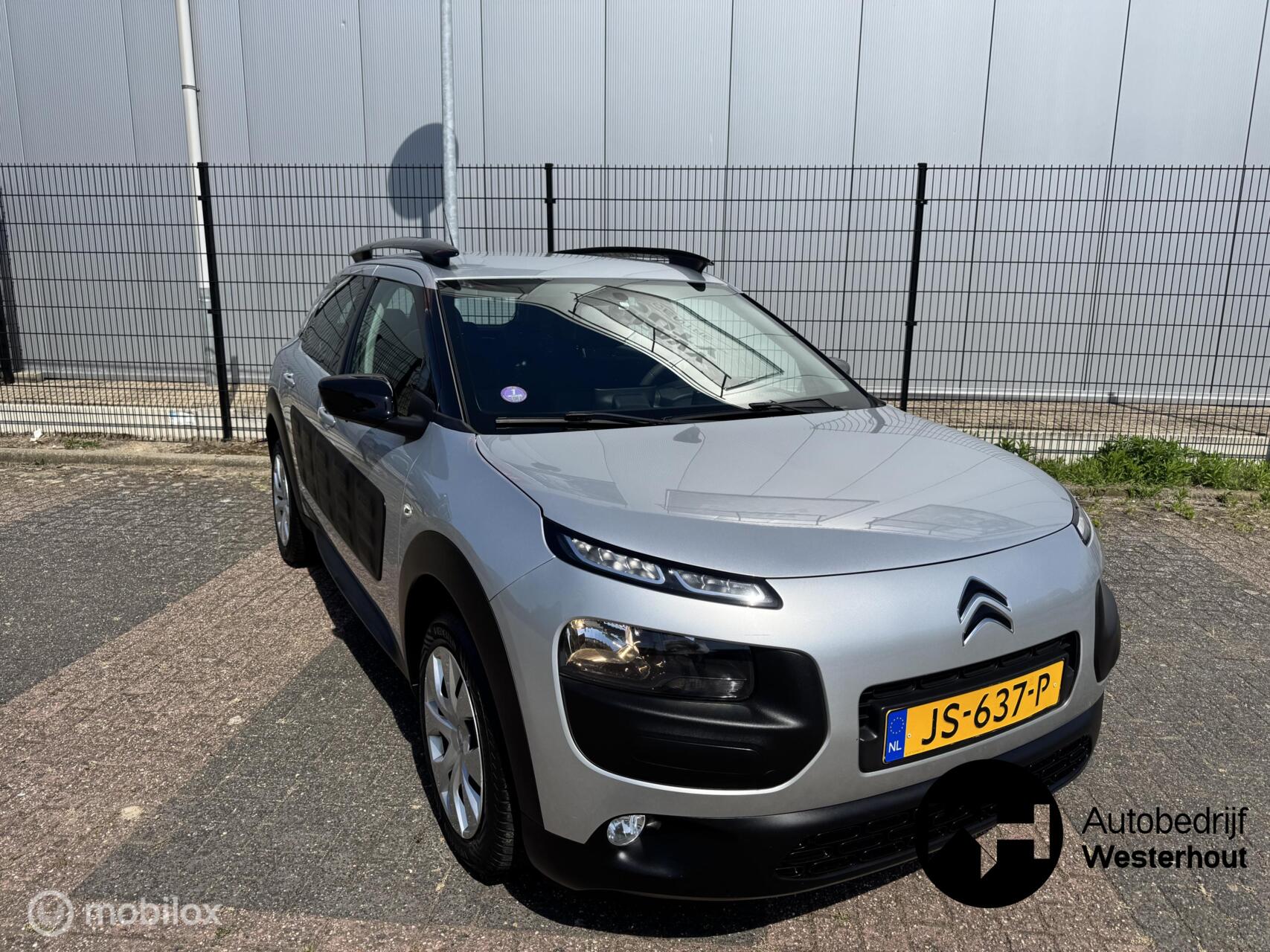 Foto van Citroen C4 Cactus