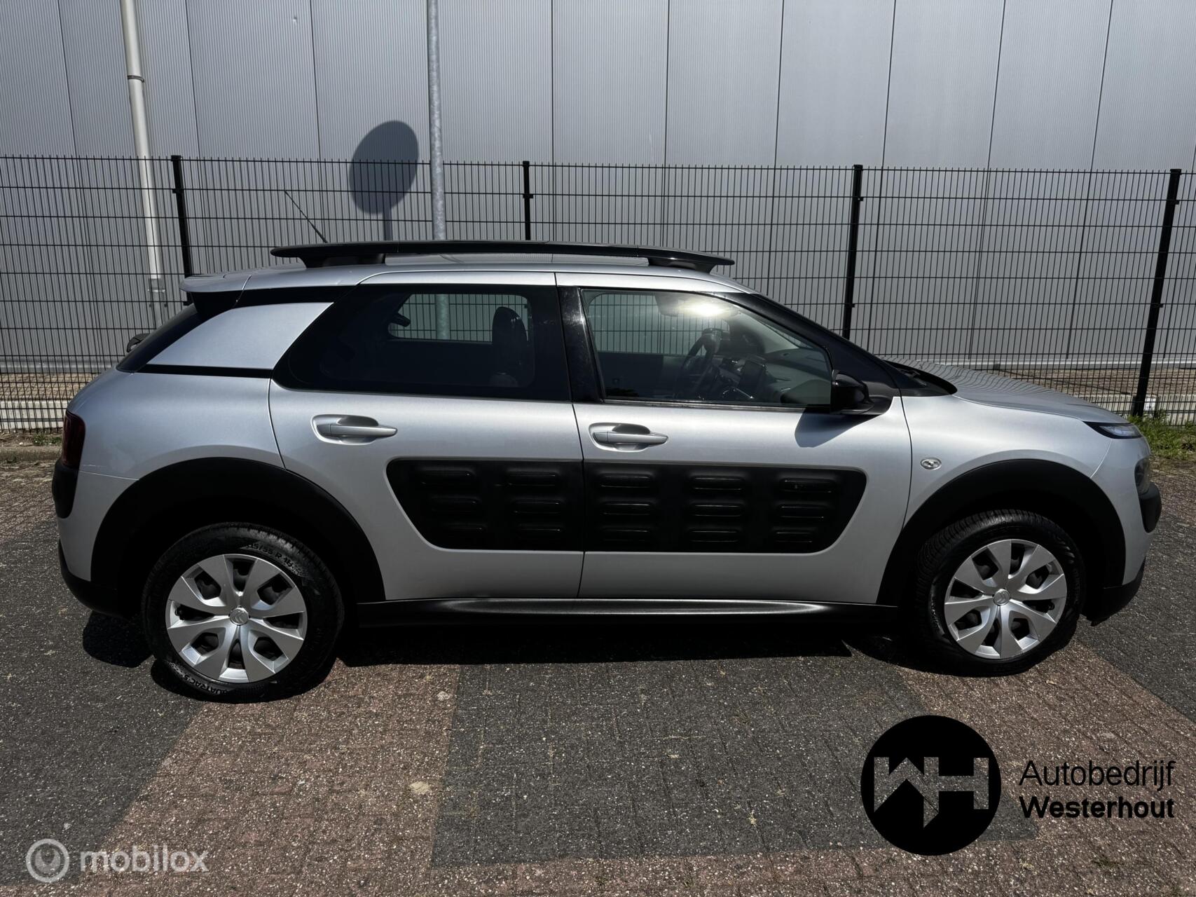 Foto van Citroen C4 Cactus