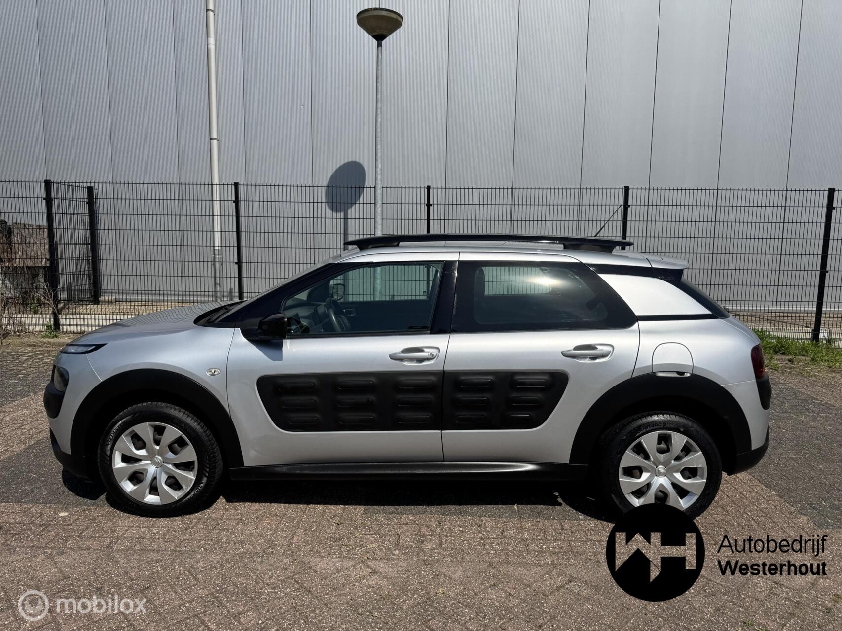 Foto van Citroen C4 Cactus