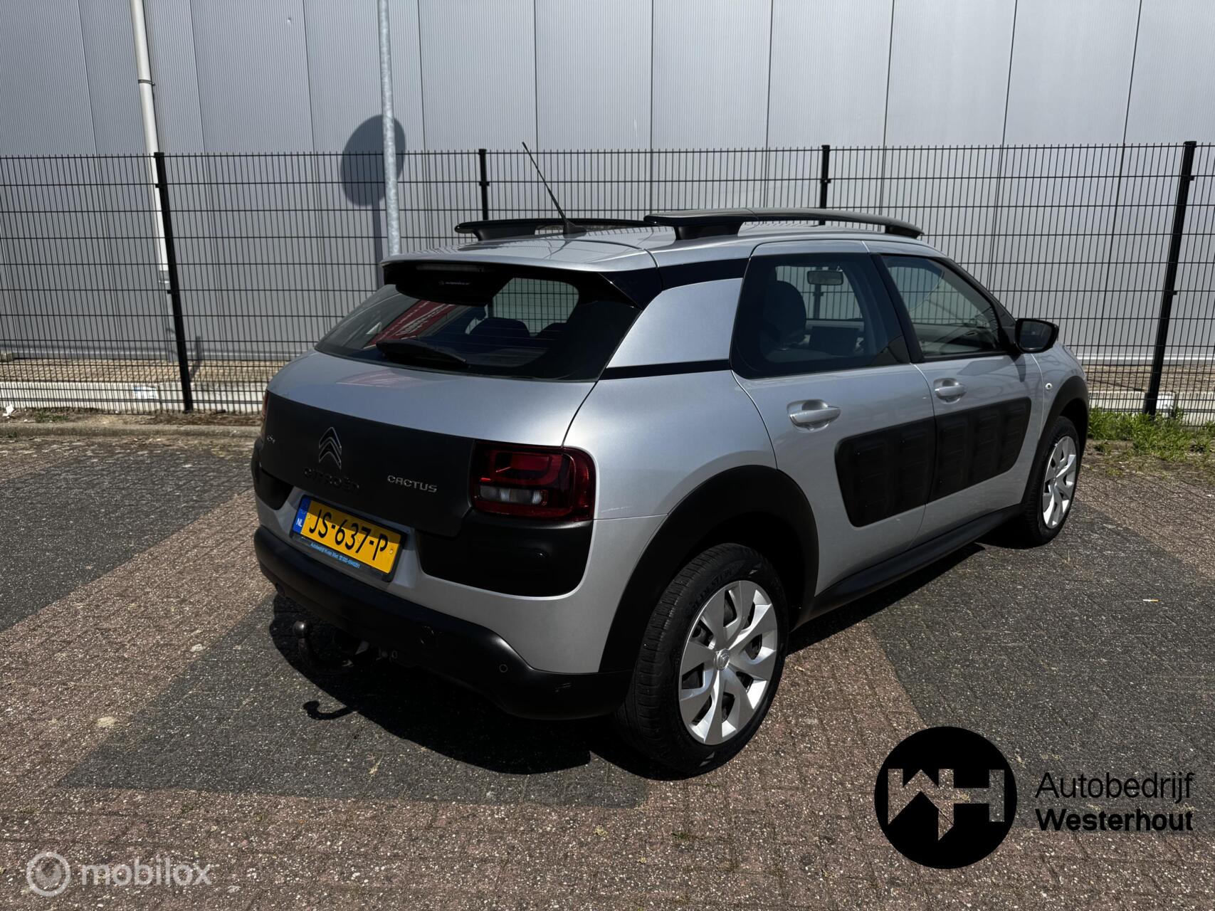 Foto van Citroen C4 Cactus