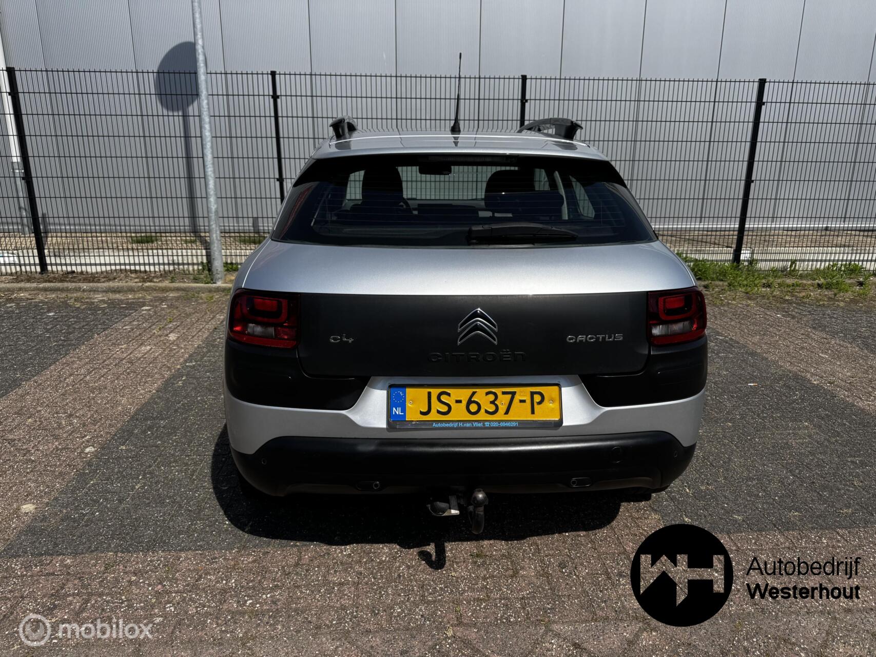 Foto van Citroen C4 Cactus