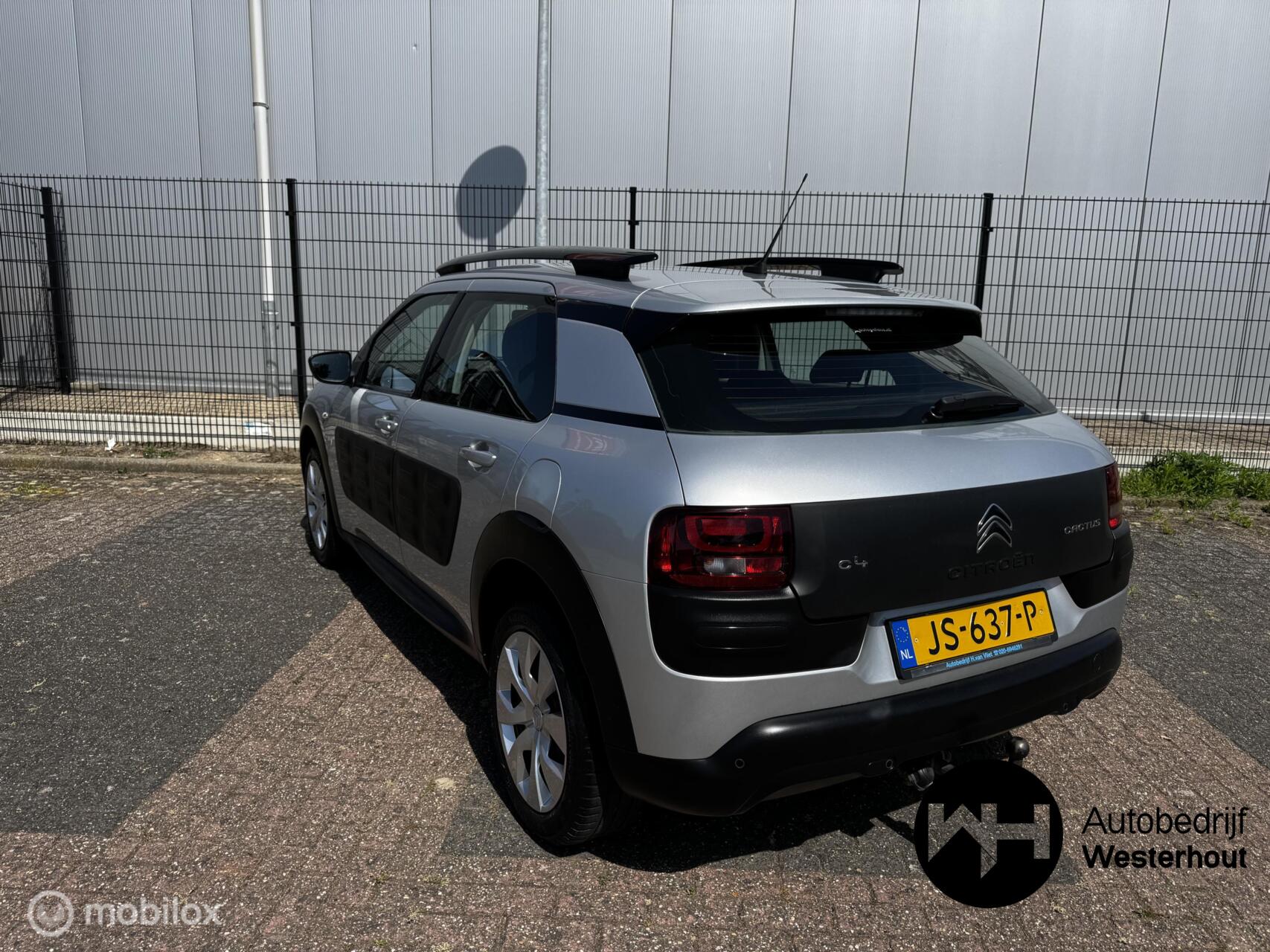 Foto van Citroen C4 Cactus