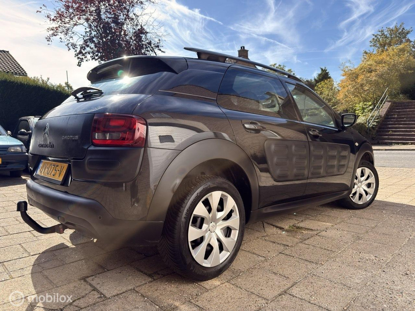 Foto van Citroen C4 Cactus
