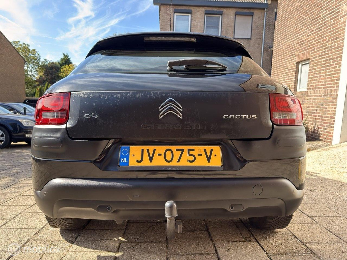 Foto van Citroen C4 Cactus