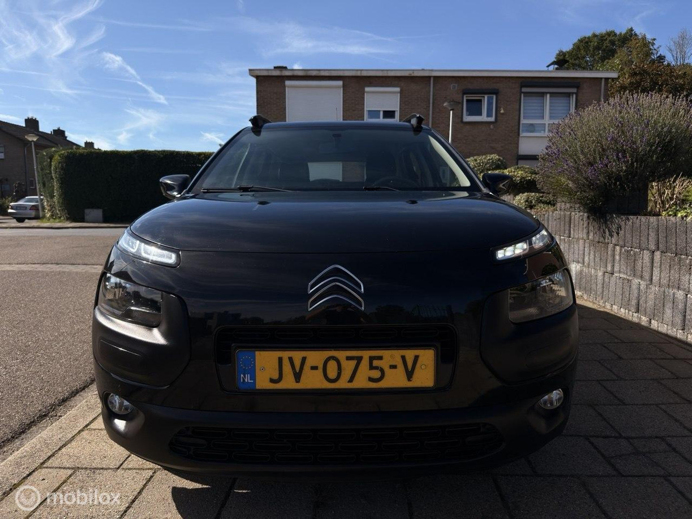 Foto van Citroen C4 Cactus