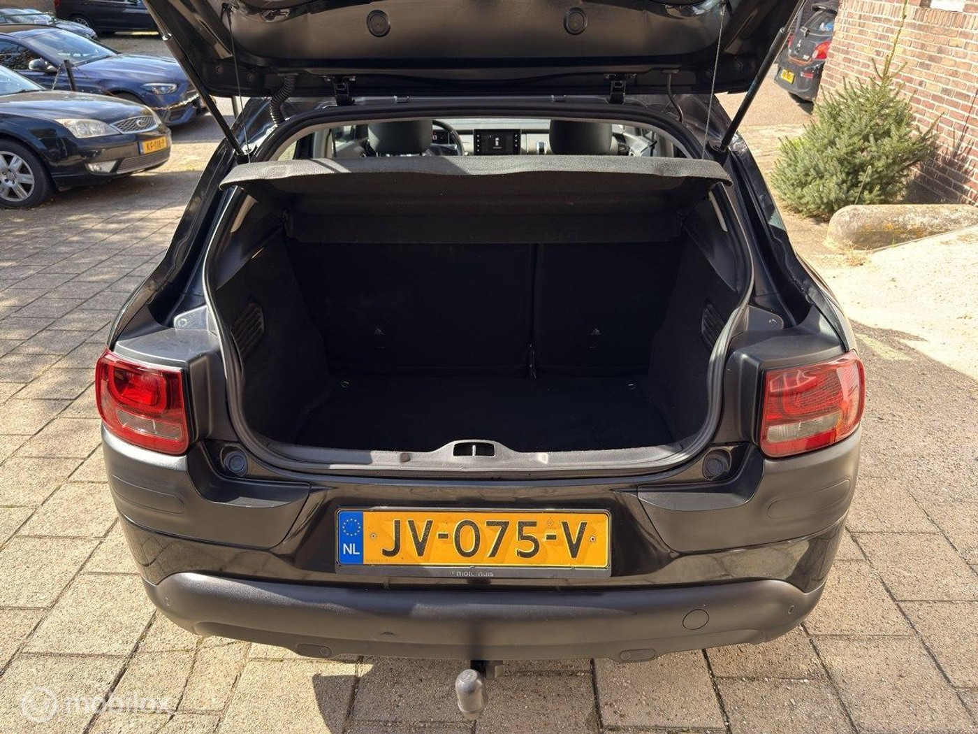 Foto van Citroen C4 Cactus