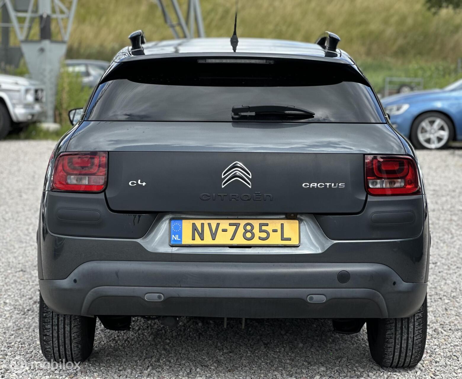Foto van Citroen C4 Cactus