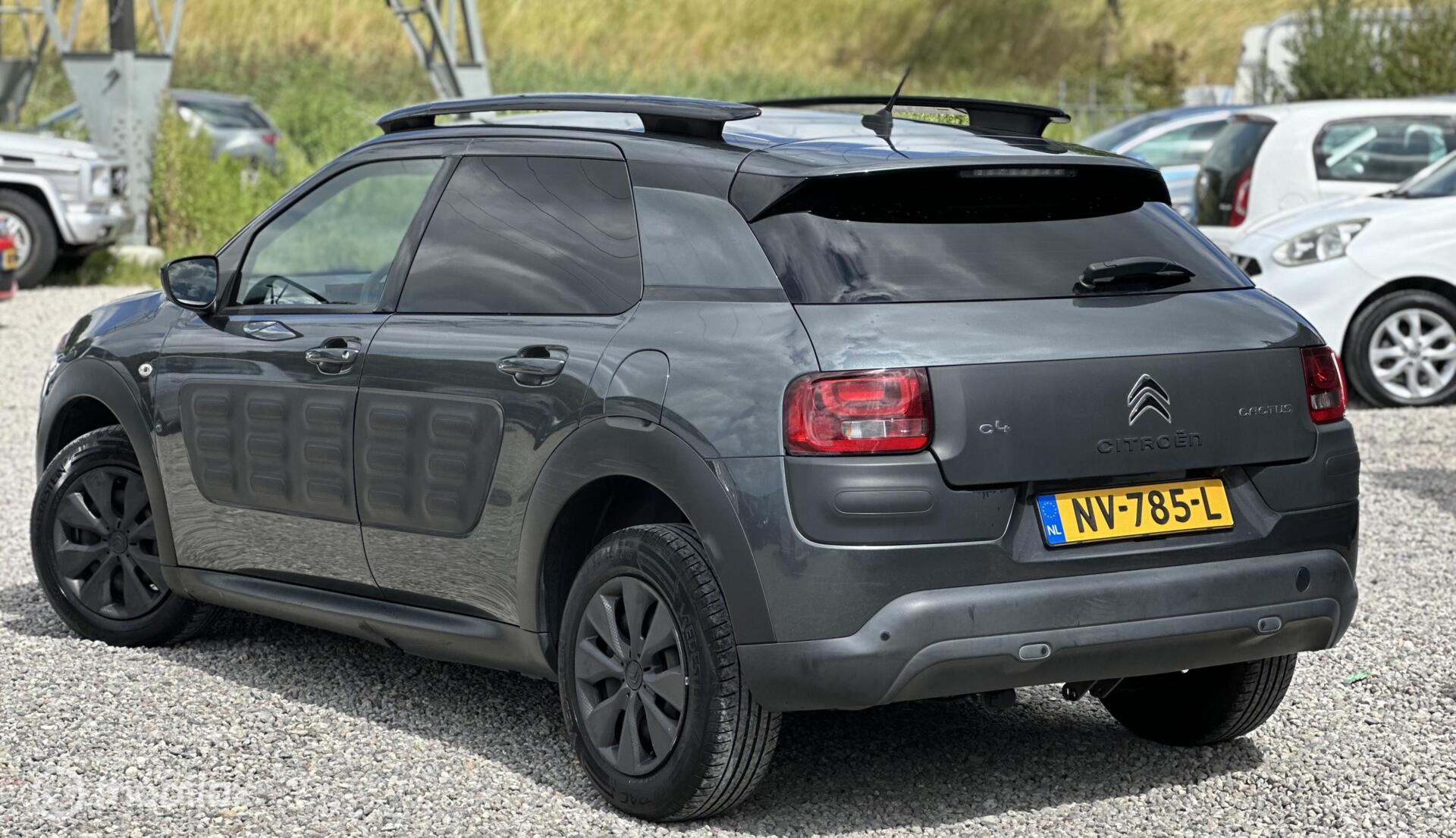 Foto van Citroen C4 Cactus