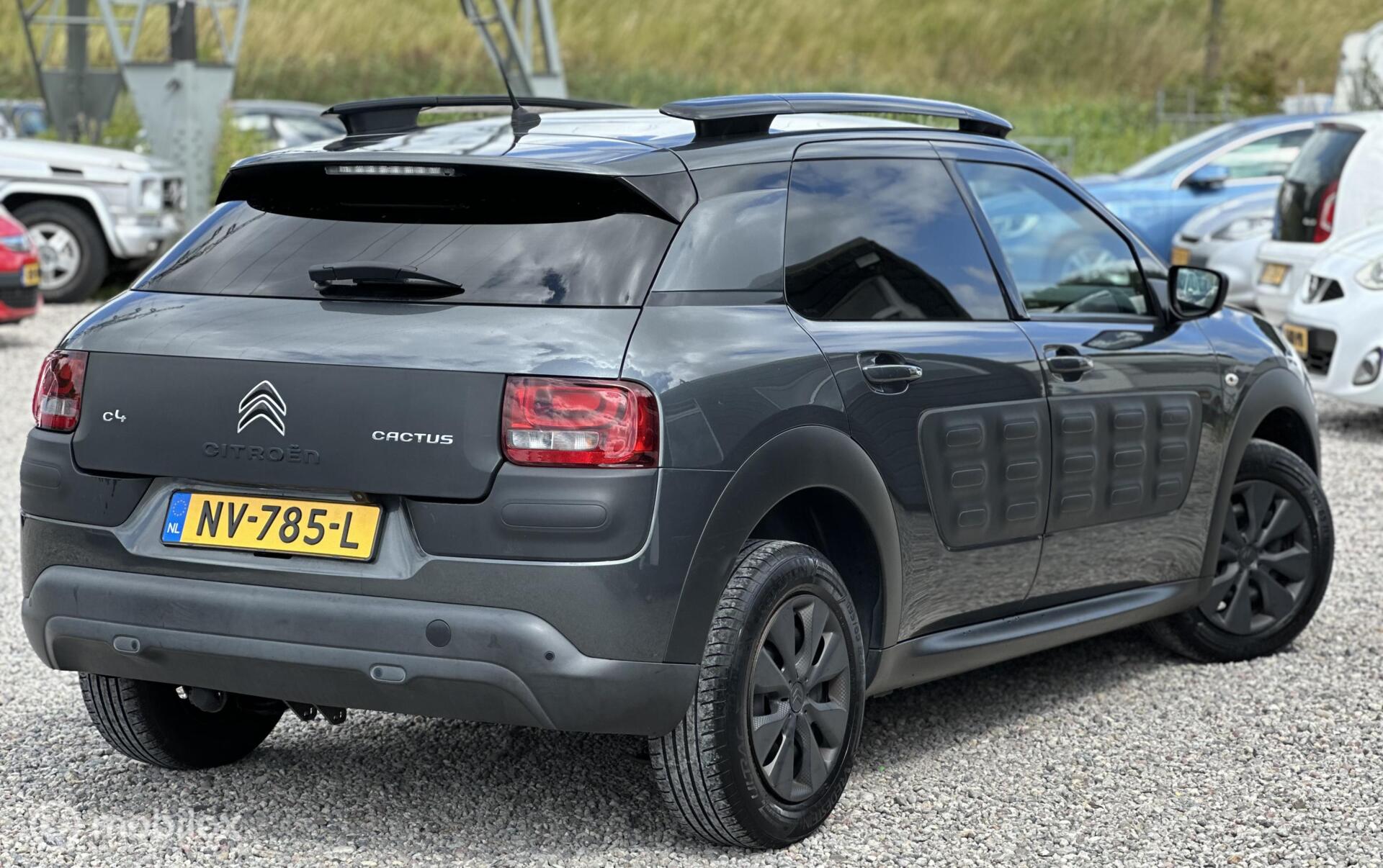 Foto van Citroen C4 Cactus