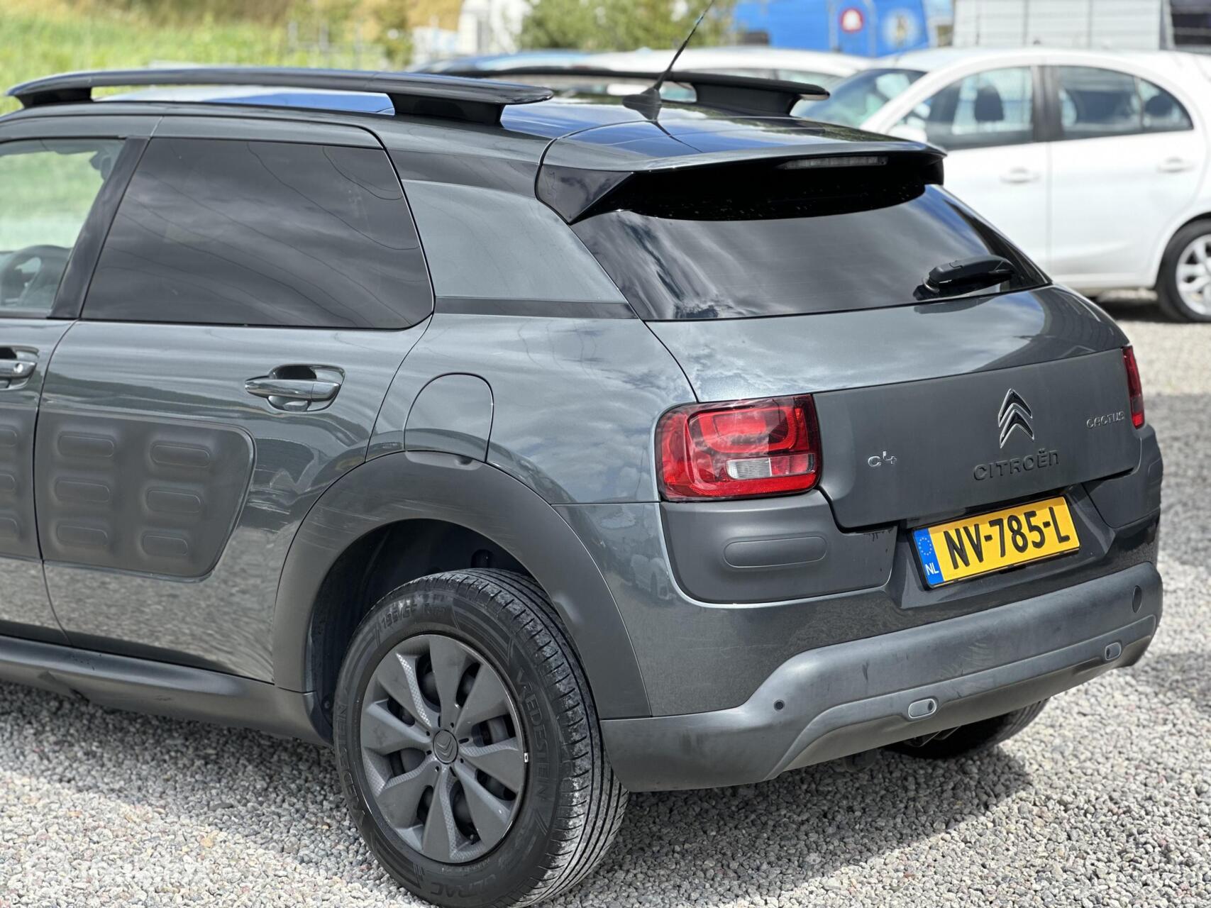 Foto van Citroen C4 Cactus