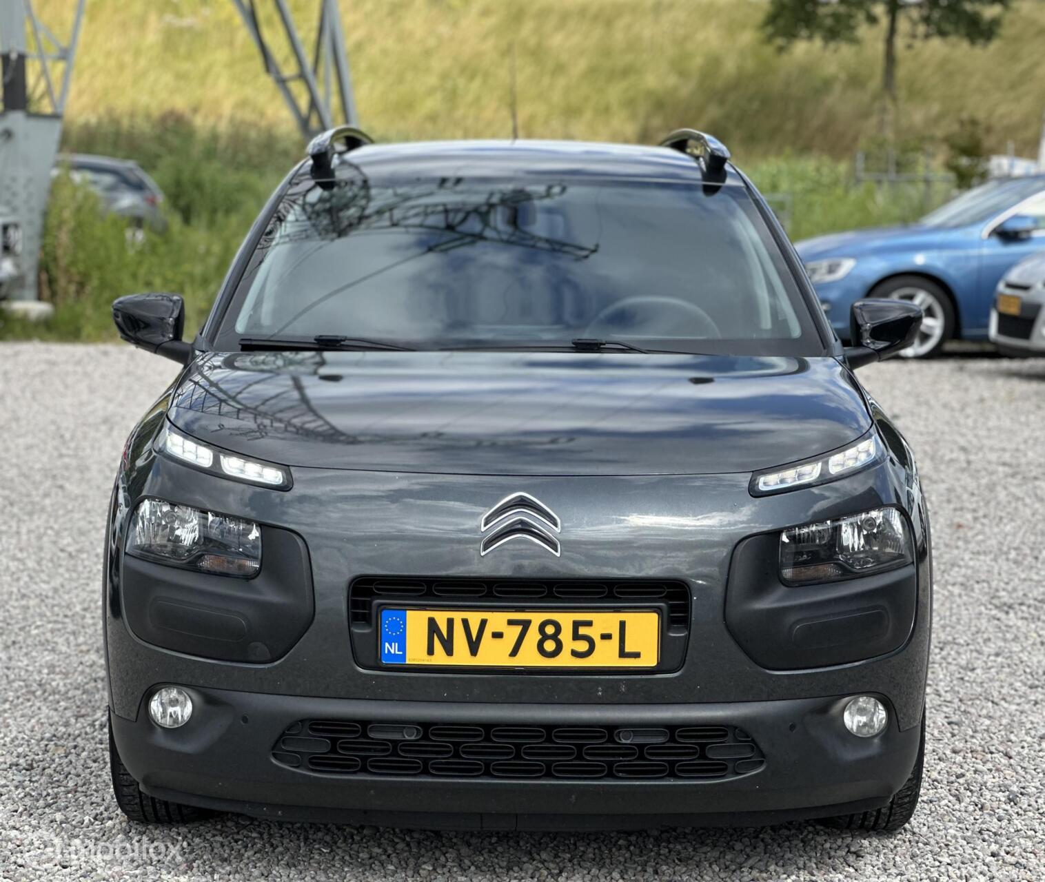 Foto van Citroen C4 Cactus