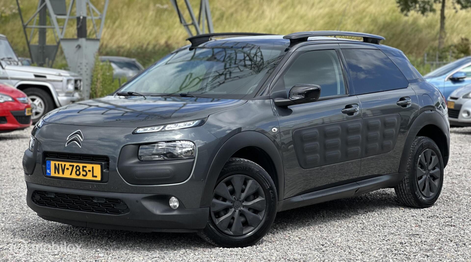 Foto van Citroen C4 Cactus
