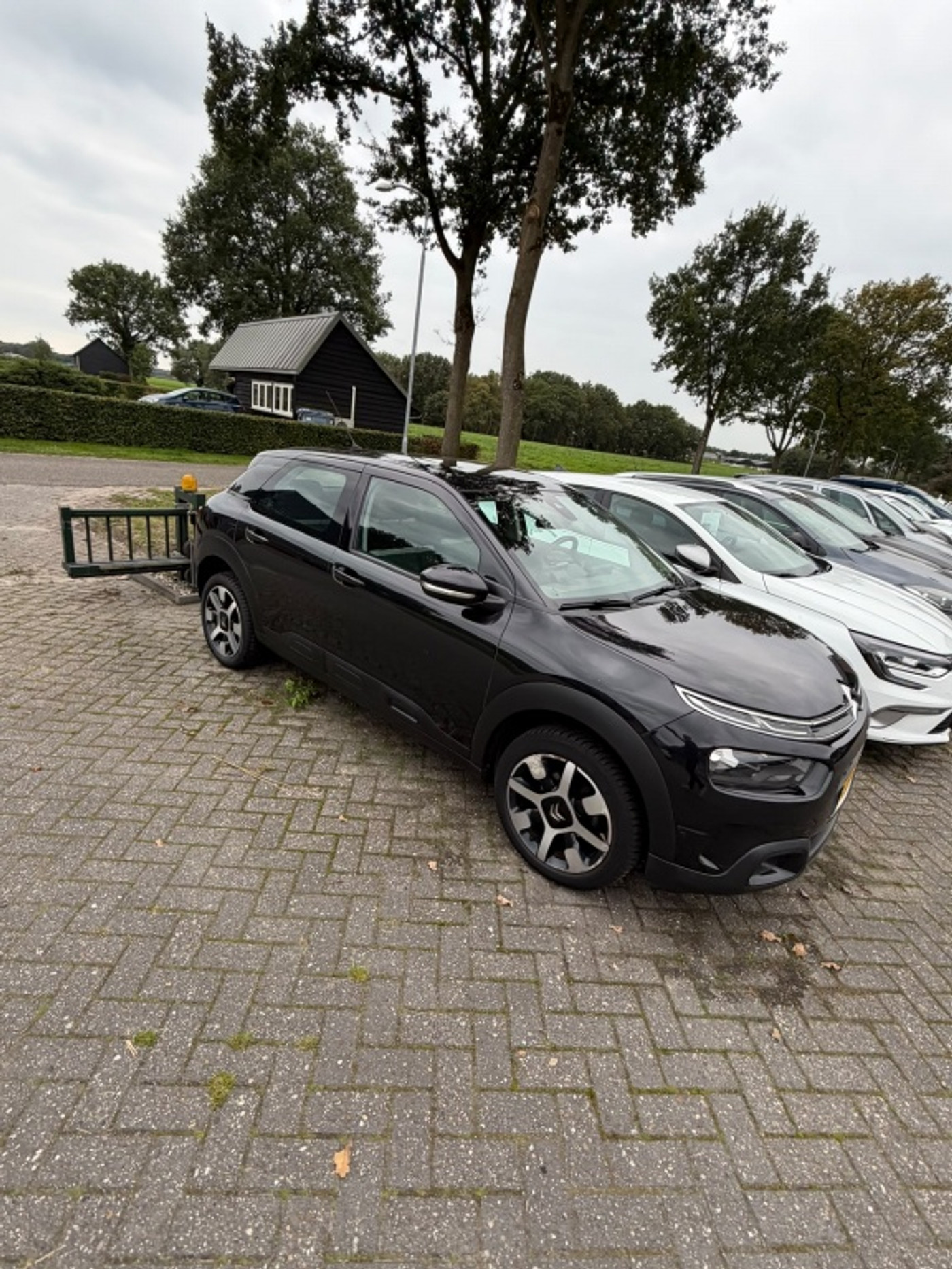 Foto van Citroen C4 Cactus