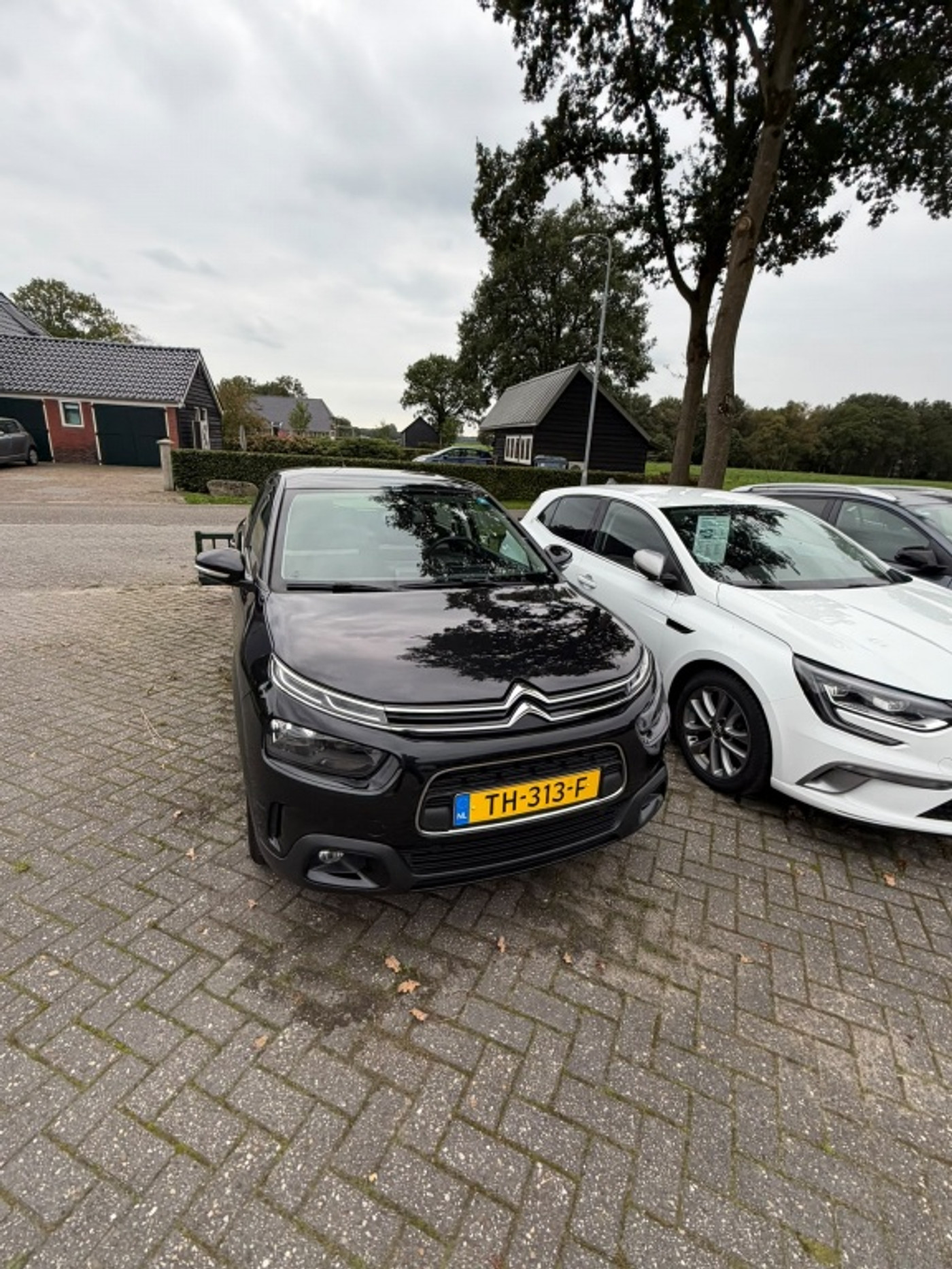 Foto van Citroen C4 Cactus