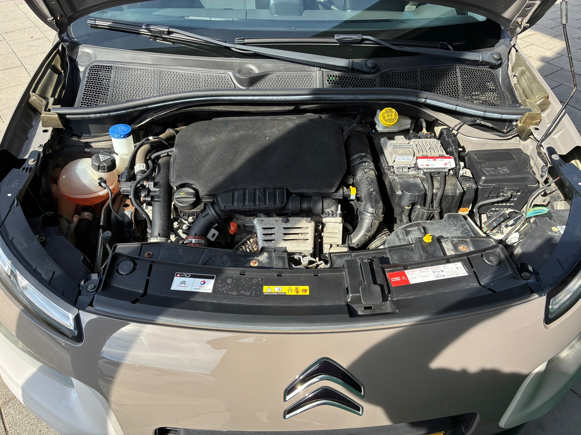 Foto van Citroen C4 Cactus