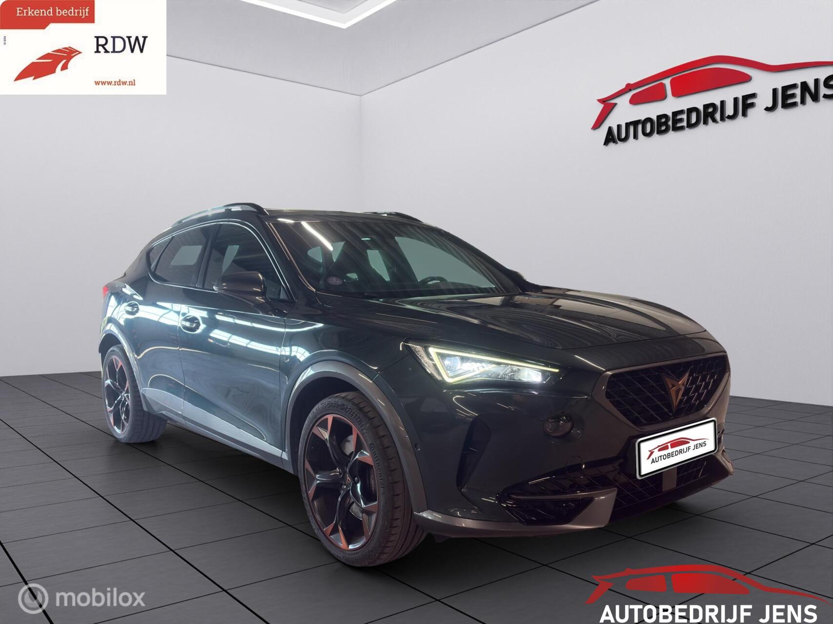 Foto van Cupra Formentor