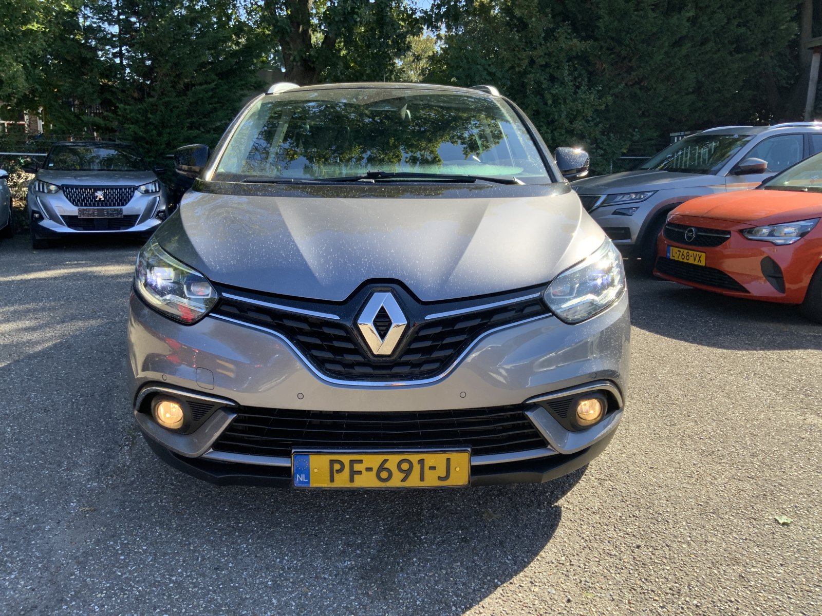 Inspectiefoto van Renault Grand Scénic