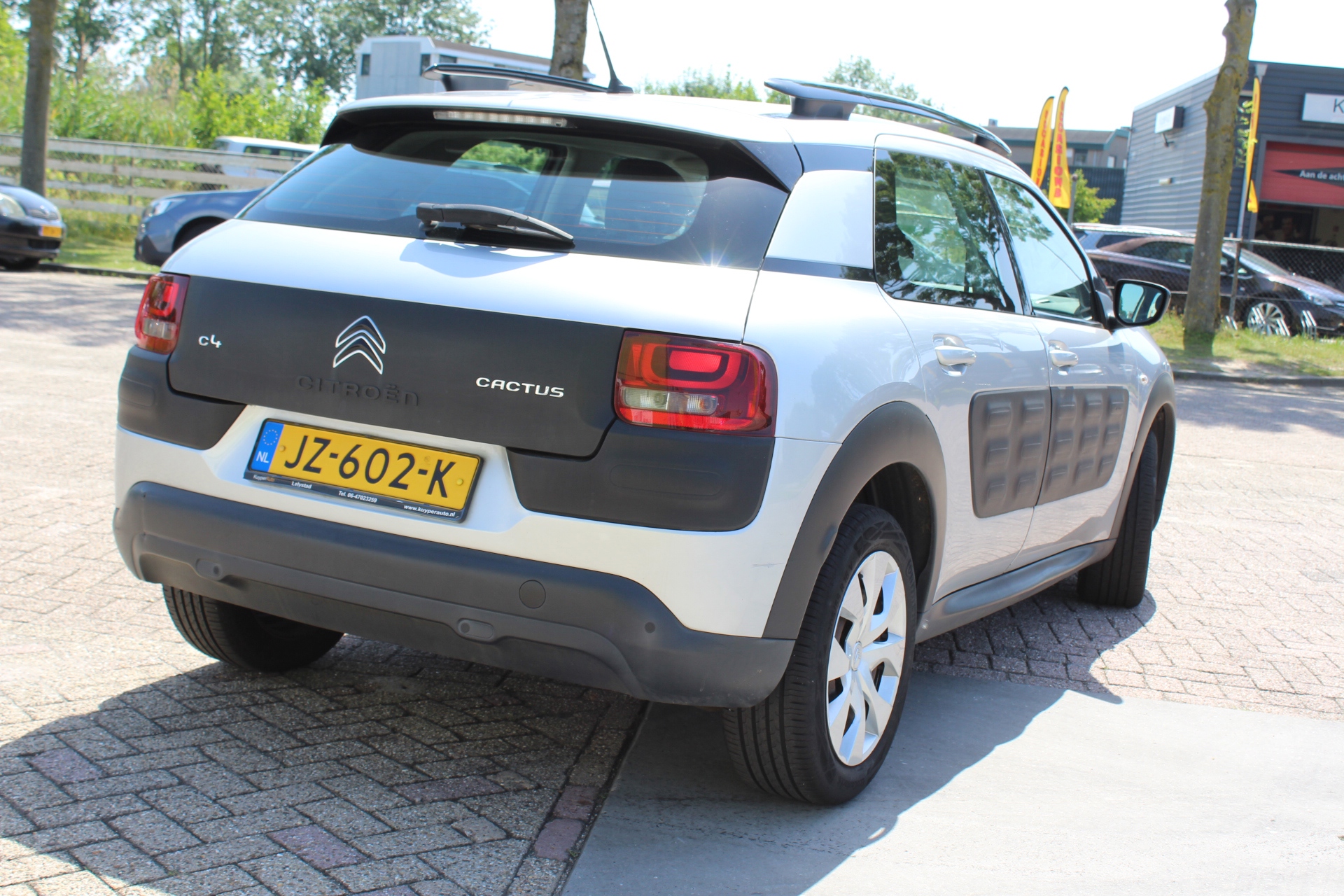 Foto van Citroen C4 Cactus