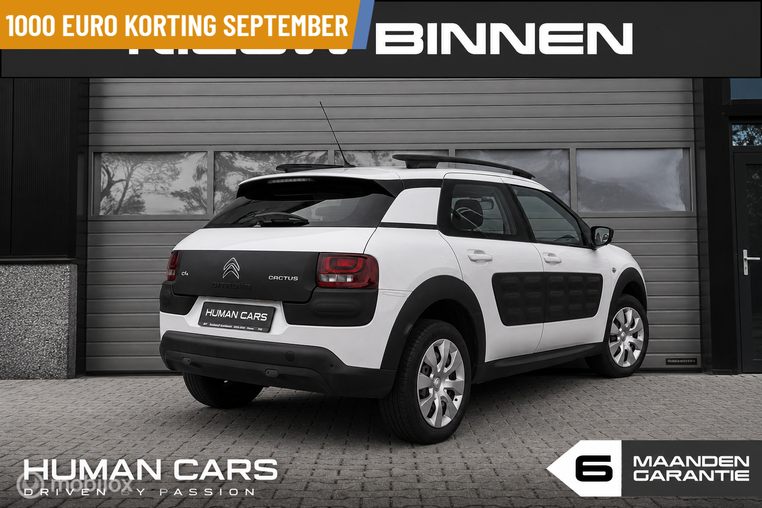 Foto van Citroen C4 Cactus