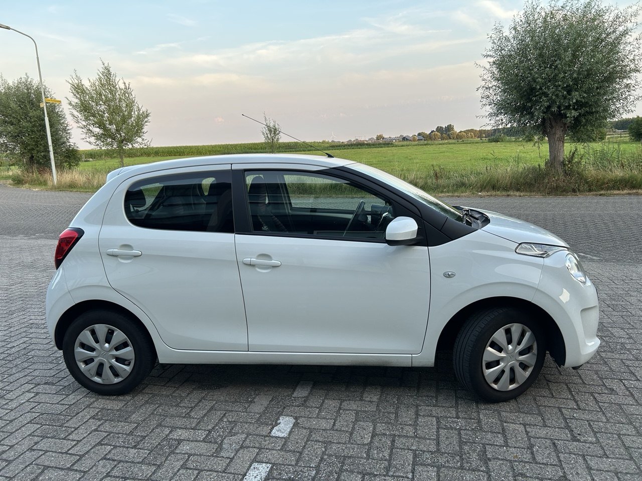 Inspectiefoto van Citroen C1