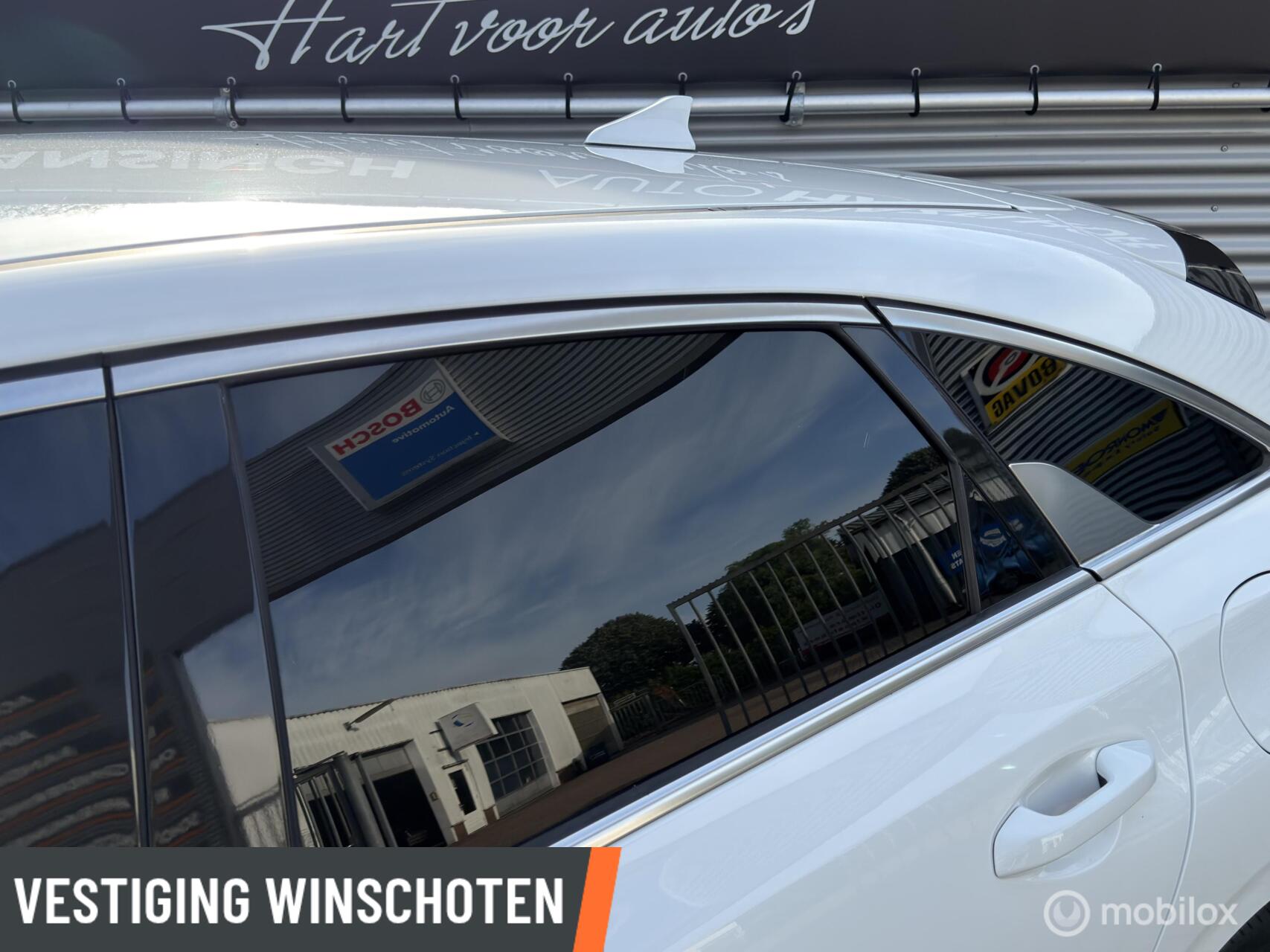 Foto van Kia Proceed