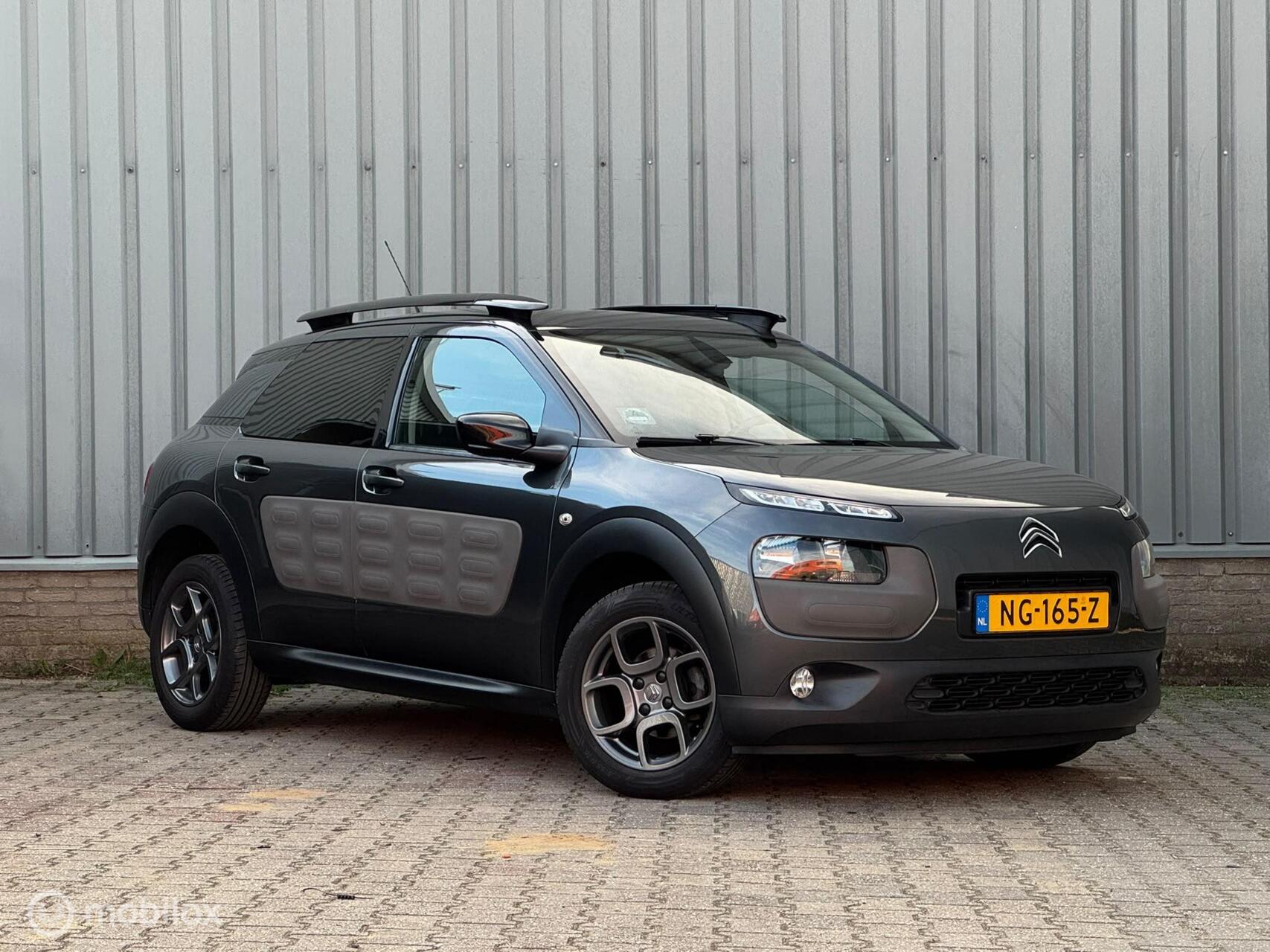 Foto van Citroen C4 Cactus