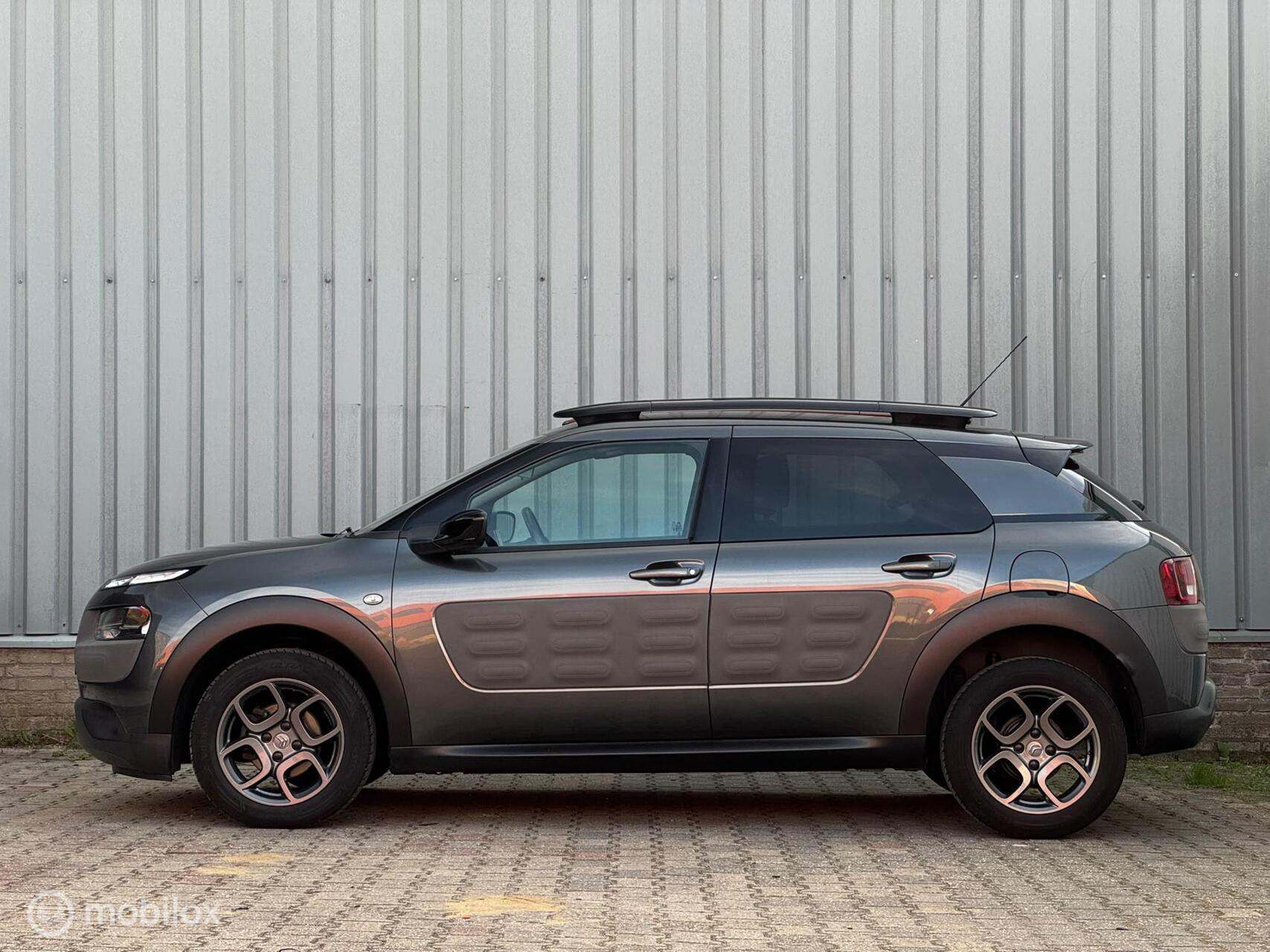 Foto van Citroen C4 Cactus