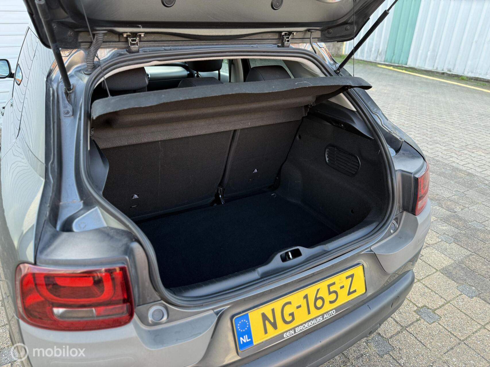 Foto van Citroen C4 Cactus